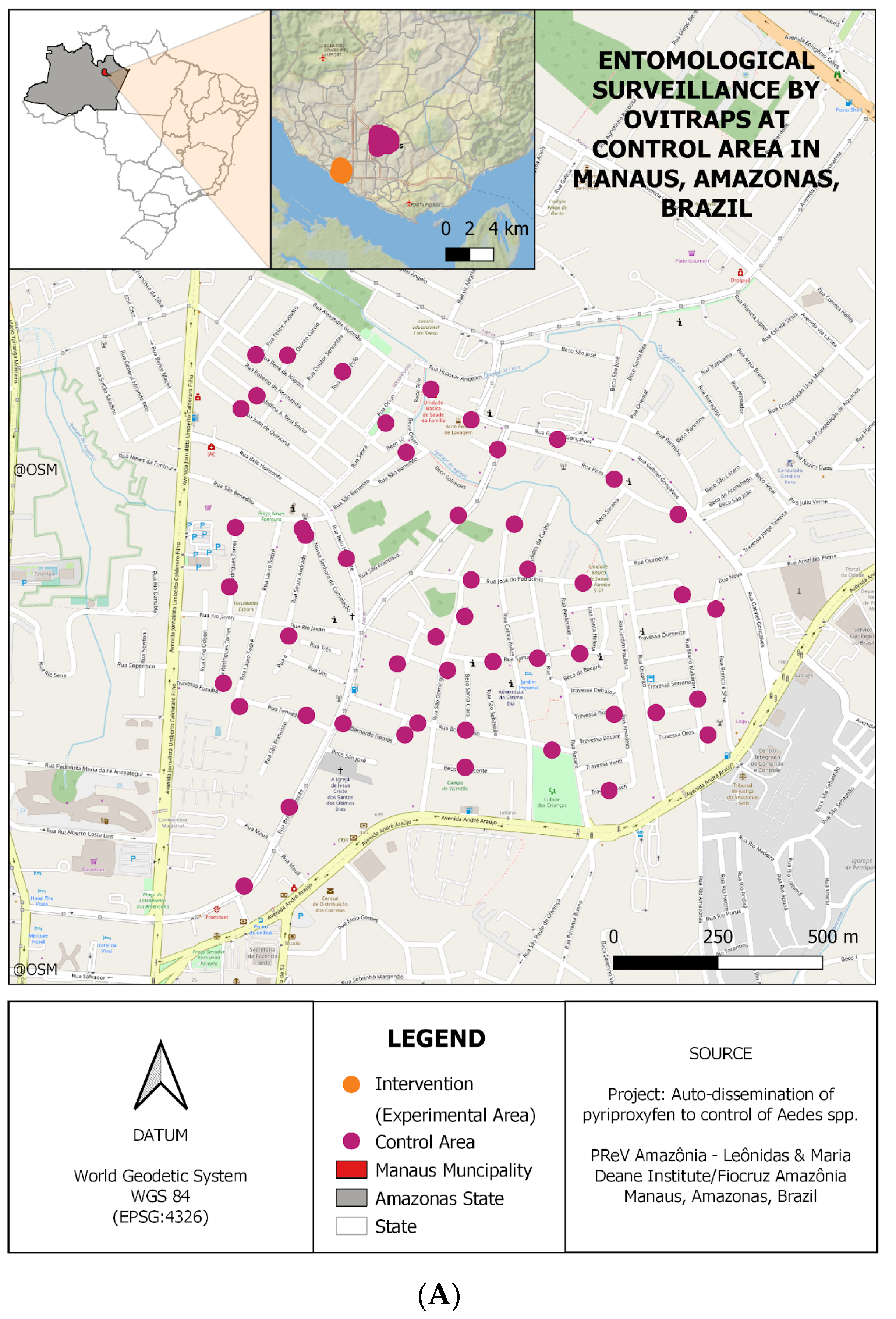 Genes 15 01046 g001a