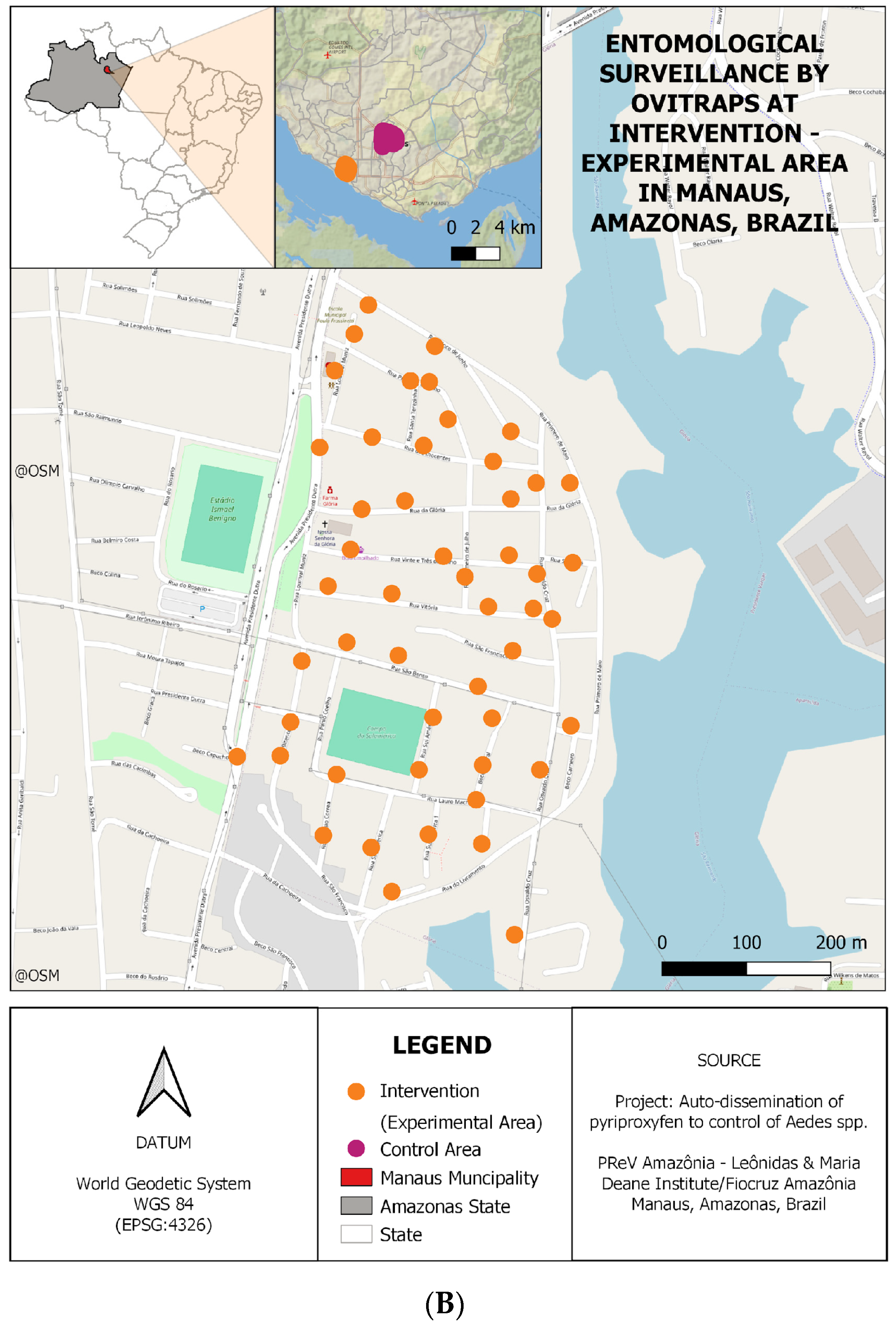 Genes 15 01046 g001b