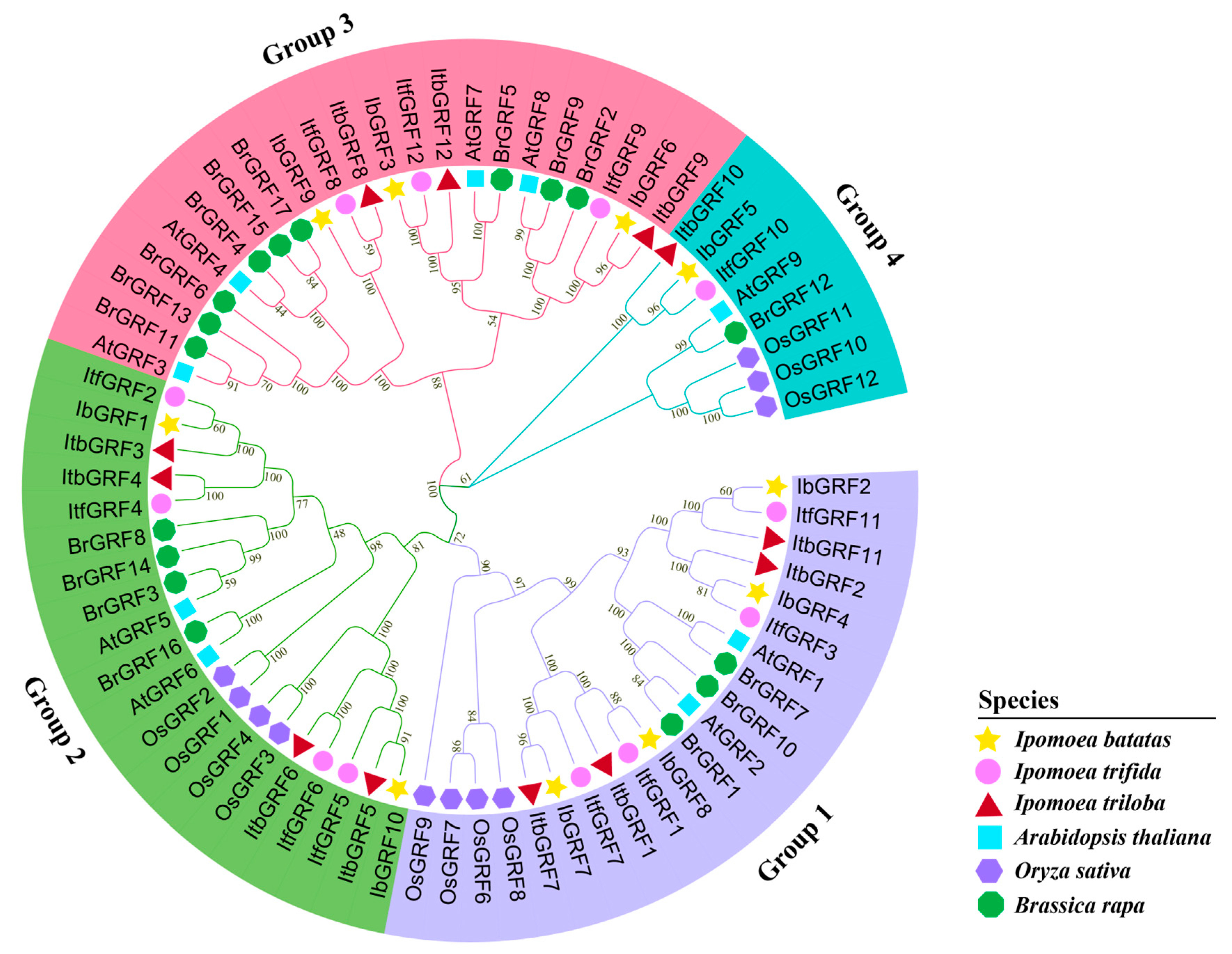 Genes 15 01064 g003