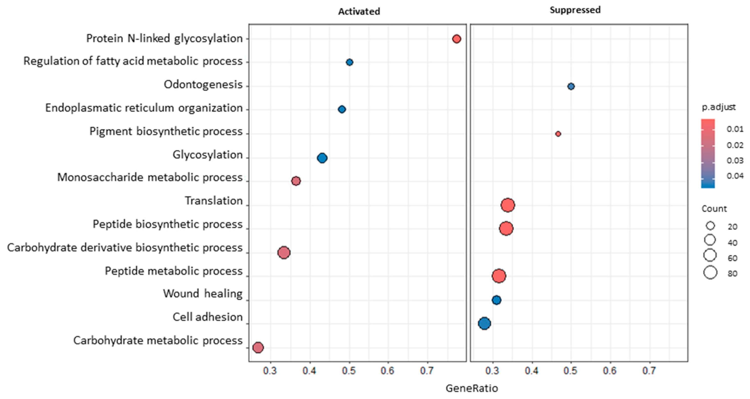 Genes 15 01065 g002 Genes 15 01065 g002