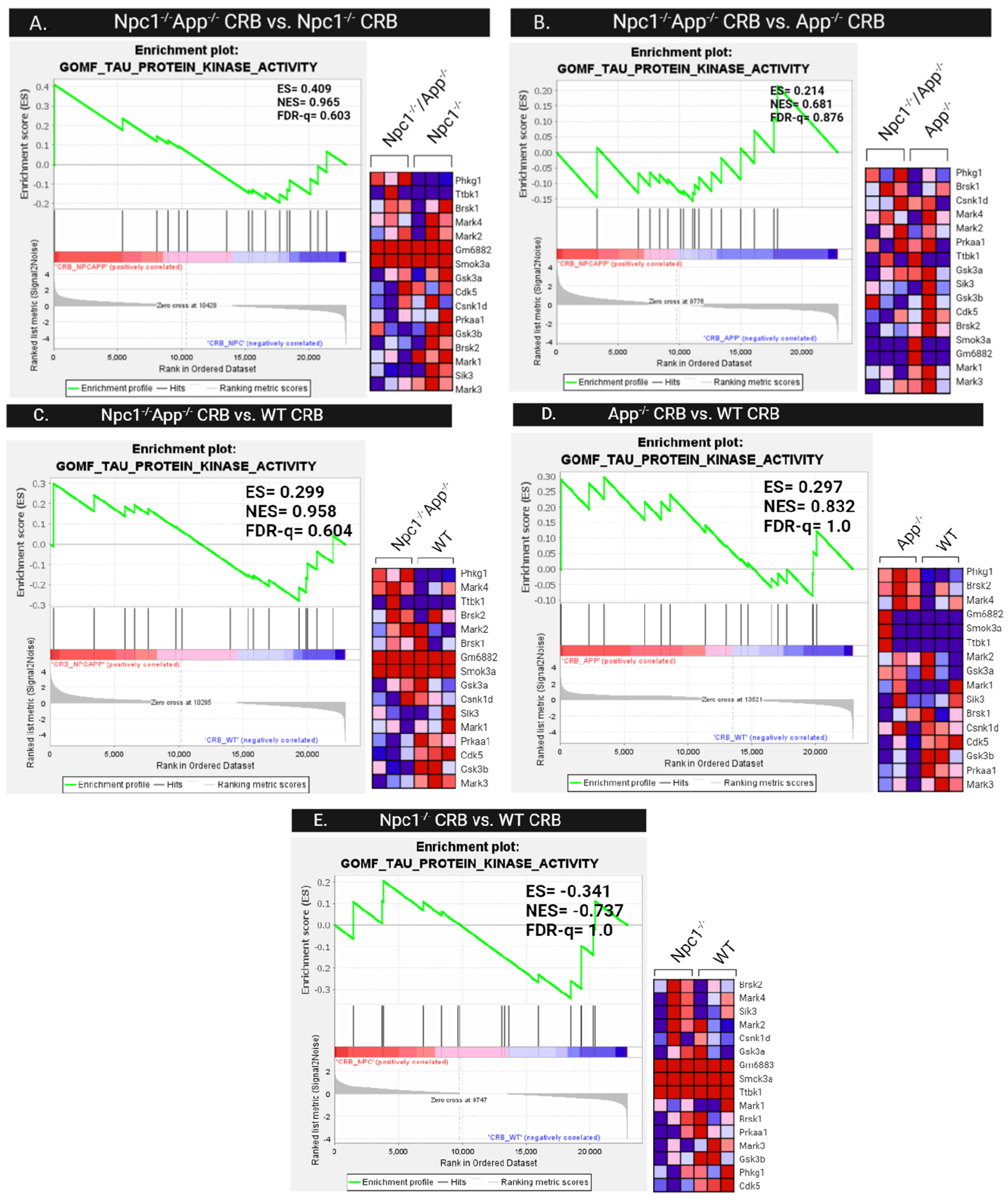Genes 15 01066 g015