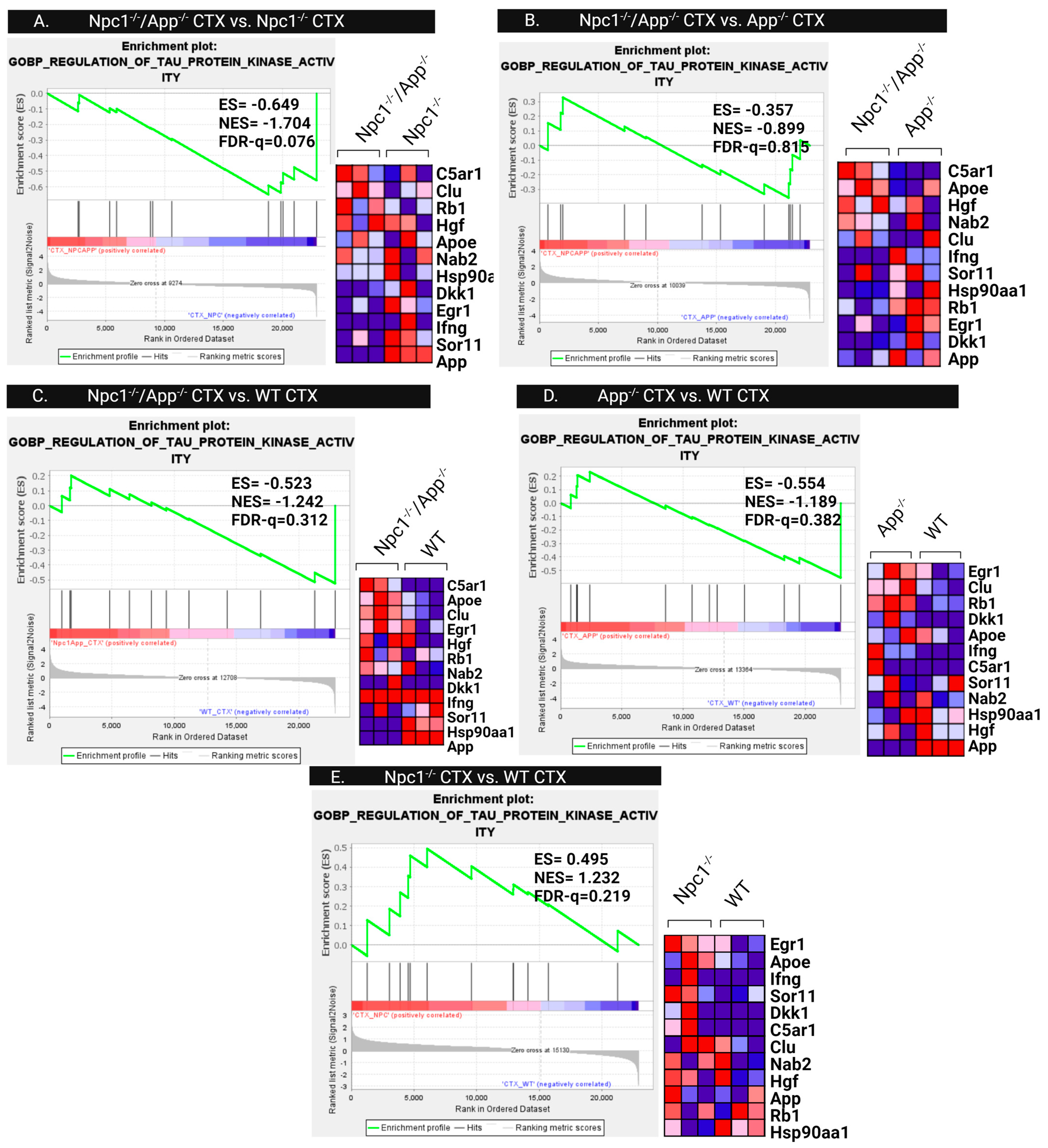 Genes 15 01066 g016