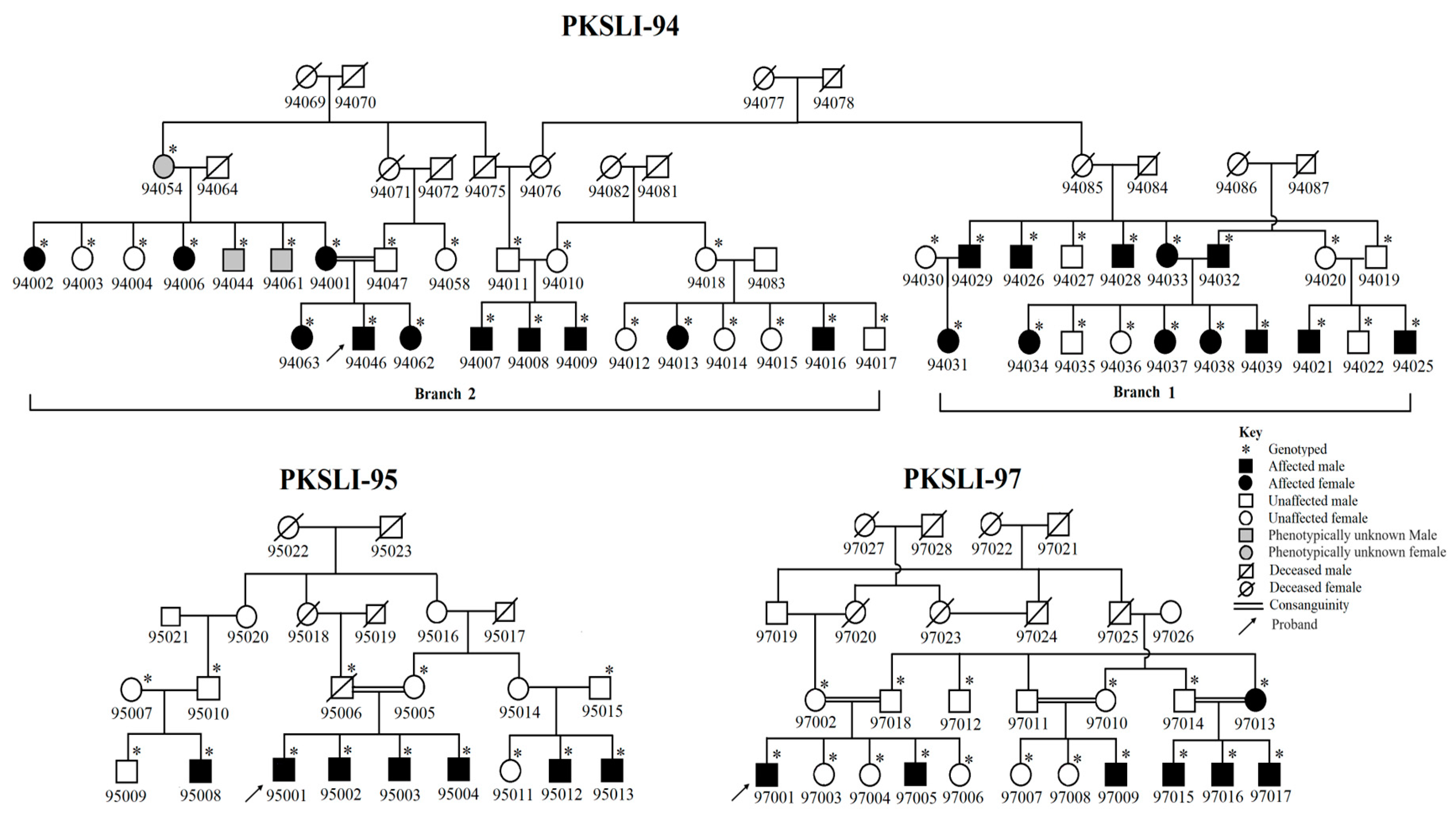 Genes 15 01069 g001 Genes 15 01069 g001