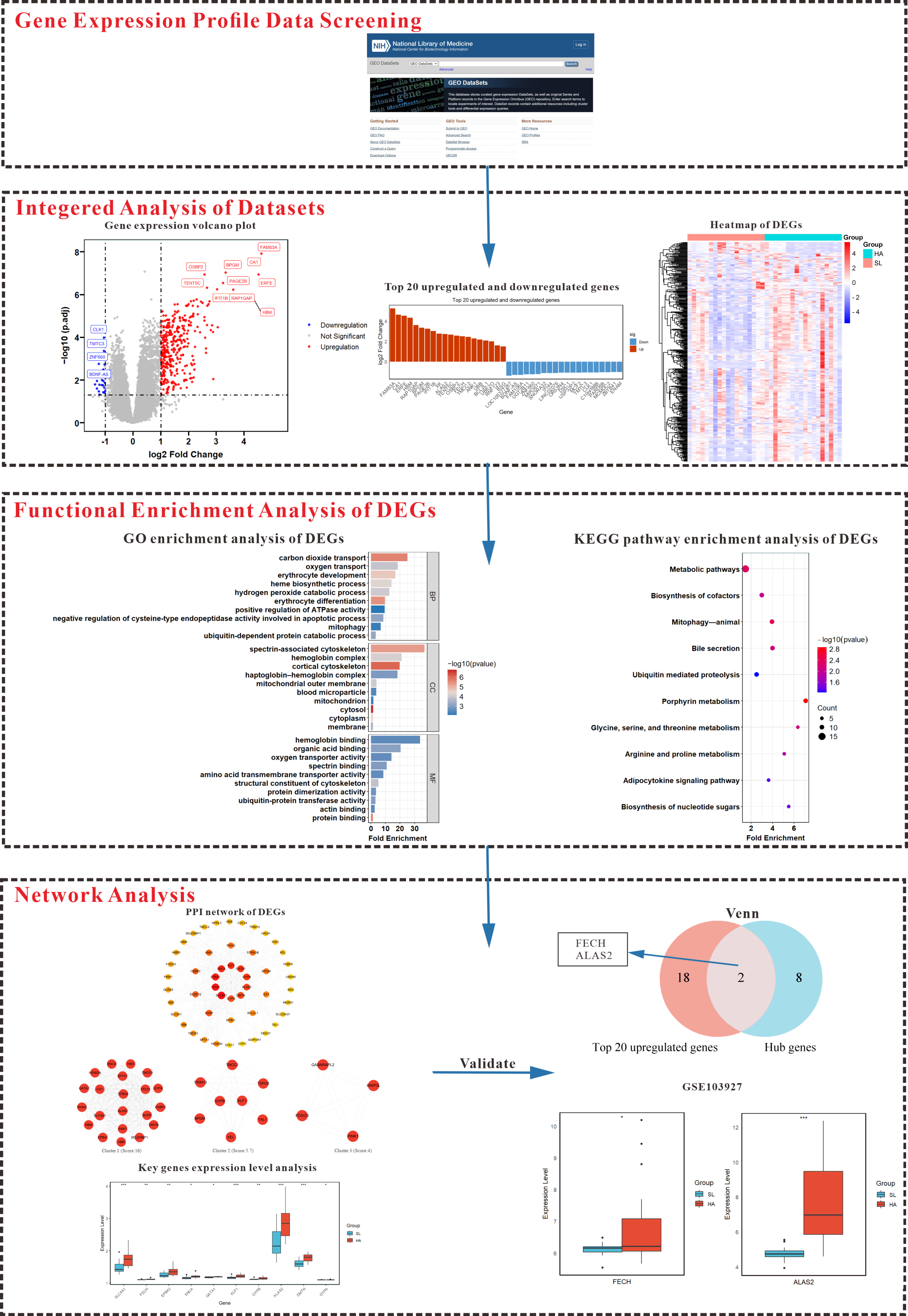 Genes 15 01075 g001