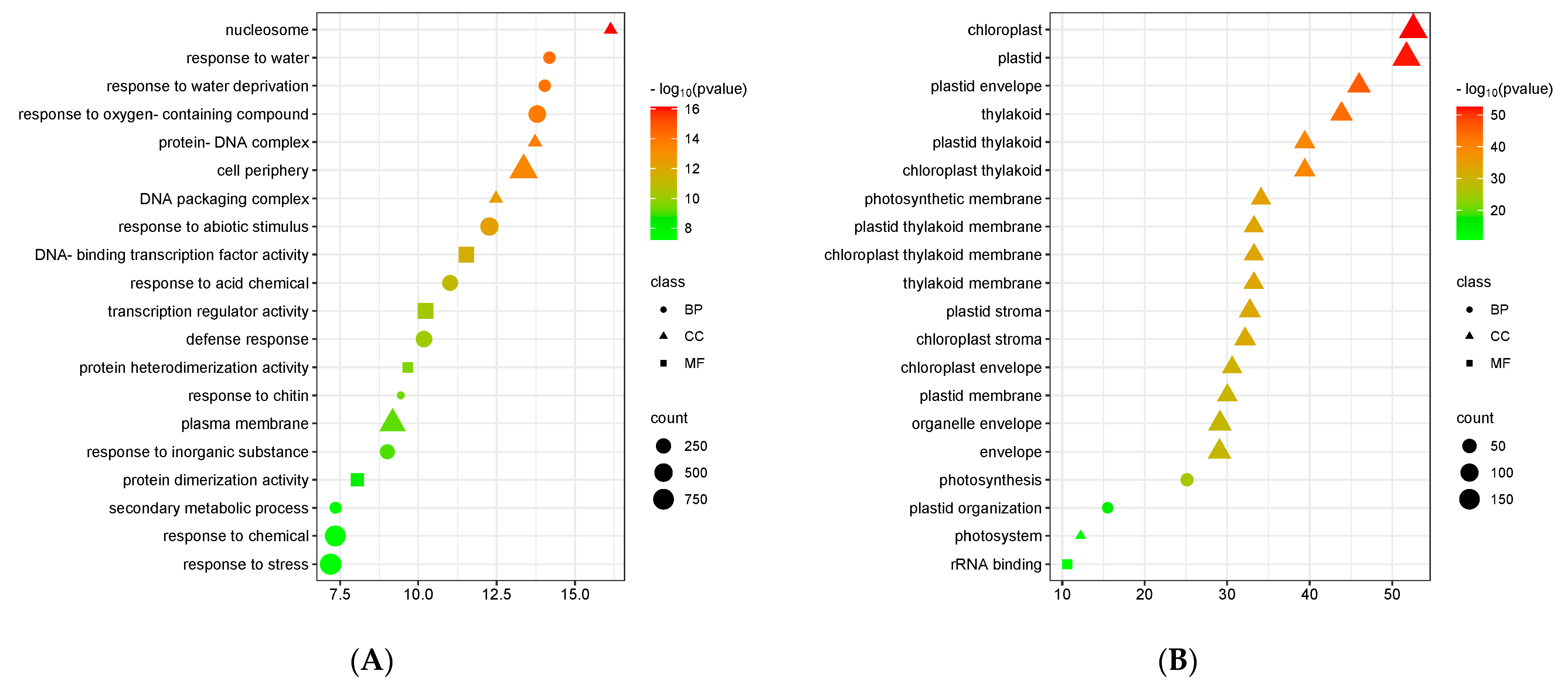 Genes 15 01077 g003a