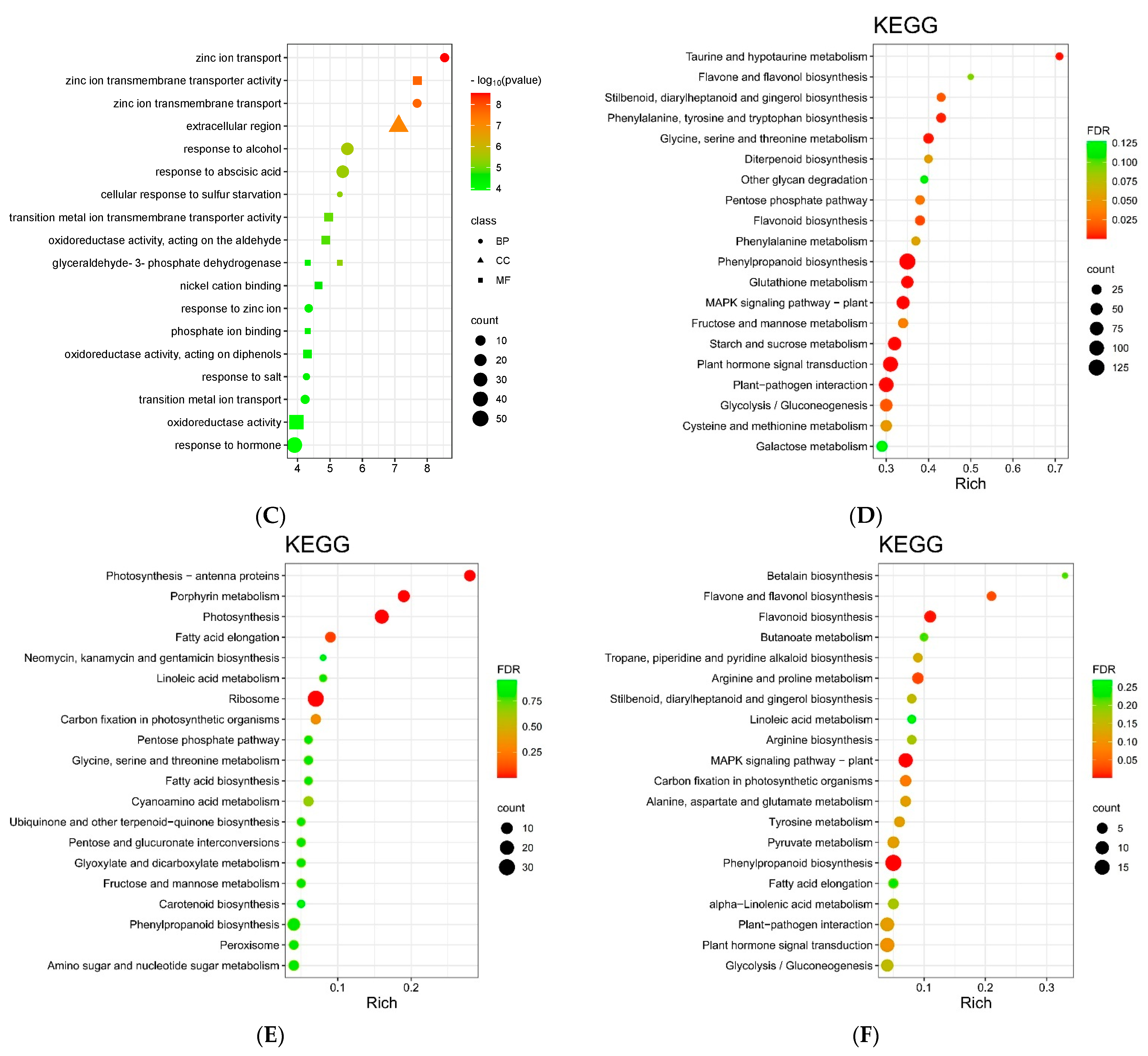 Genes 15 01077 g003b