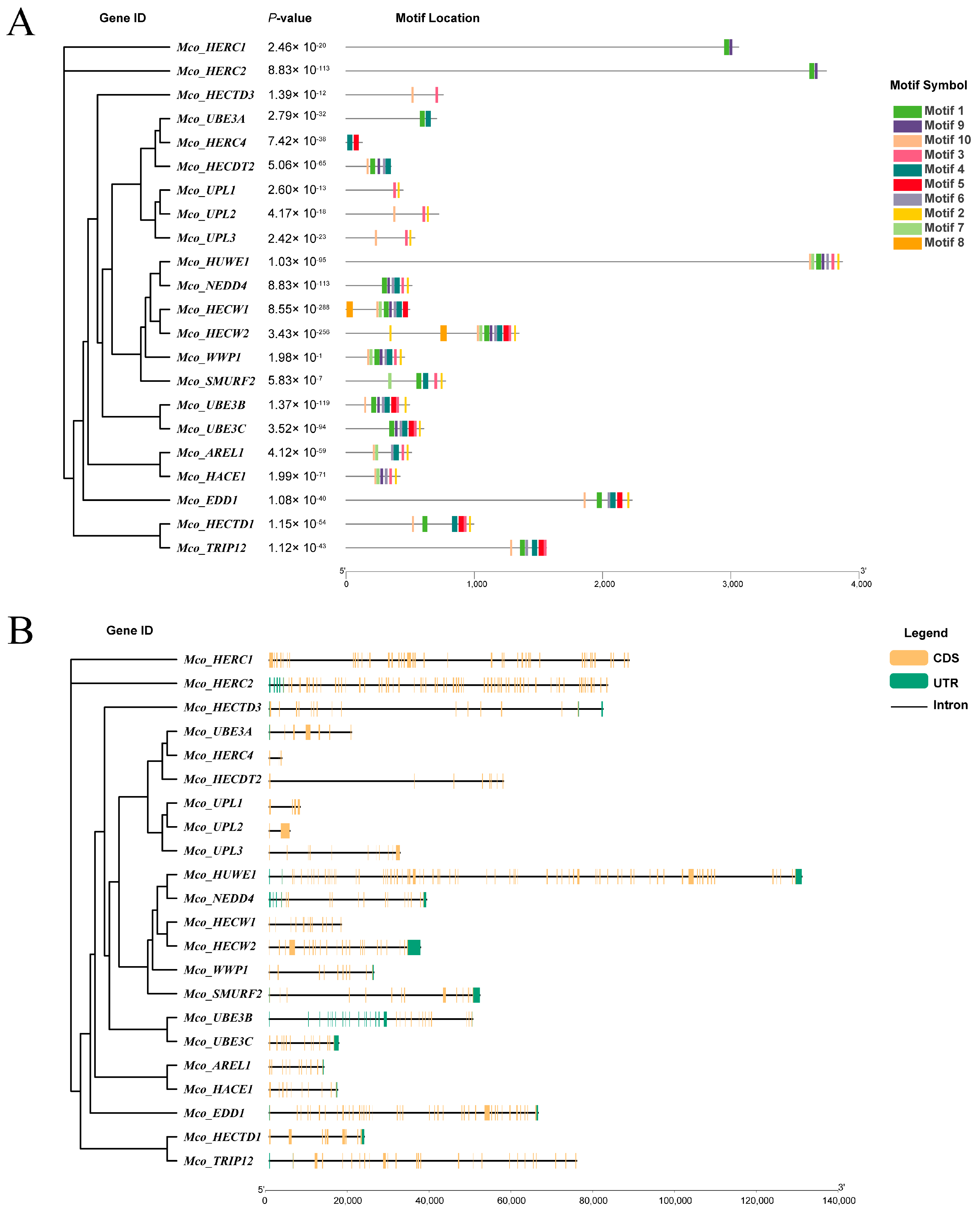Genes 15 01085 g002