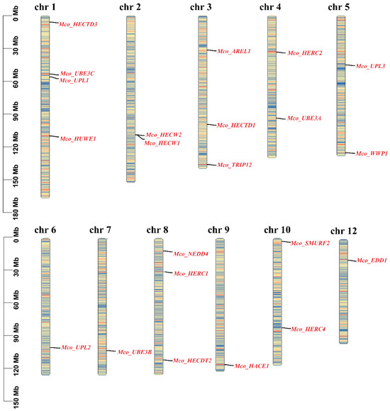 Genome-Wide Identification, Characterization, and