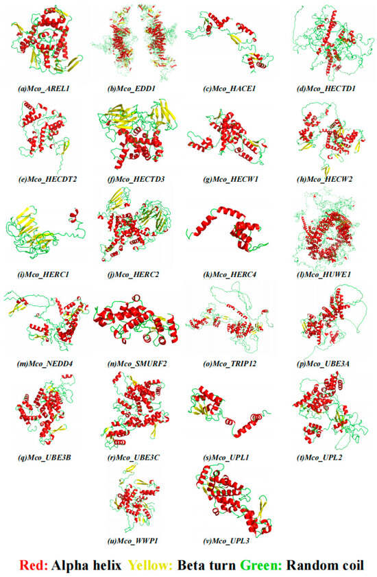 Genome-Wide Identification, Characterization, and Transcriptional Profile of the HECT E3 Ubiquitin Ligase Gene Family in the Hard-Shelled Mussel Mytilus coruscus Gould Genome-Wide Identification, Characterization, and Transcriptional Profile of the HECT E3 Ubiquitin Ligase Gene Family in the Hard-Shelled Mussel Mytilus coruscus Gould