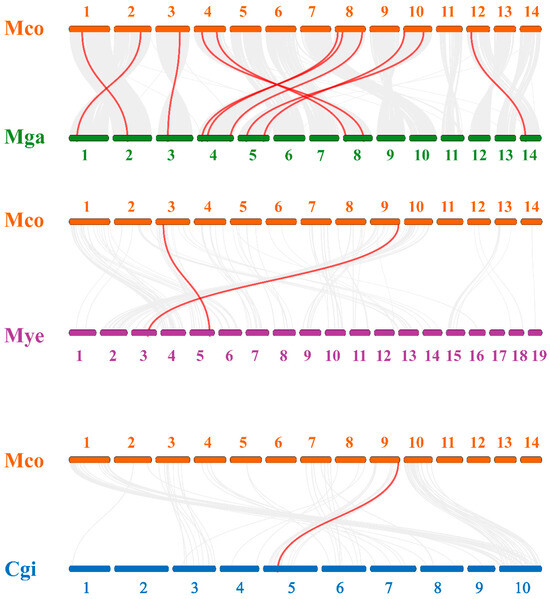 Genome-Wide Identification, Characterization, and