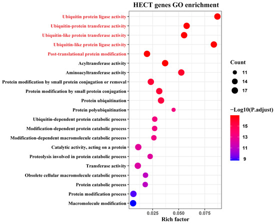 Genome-Wide Identification, Characterization, and