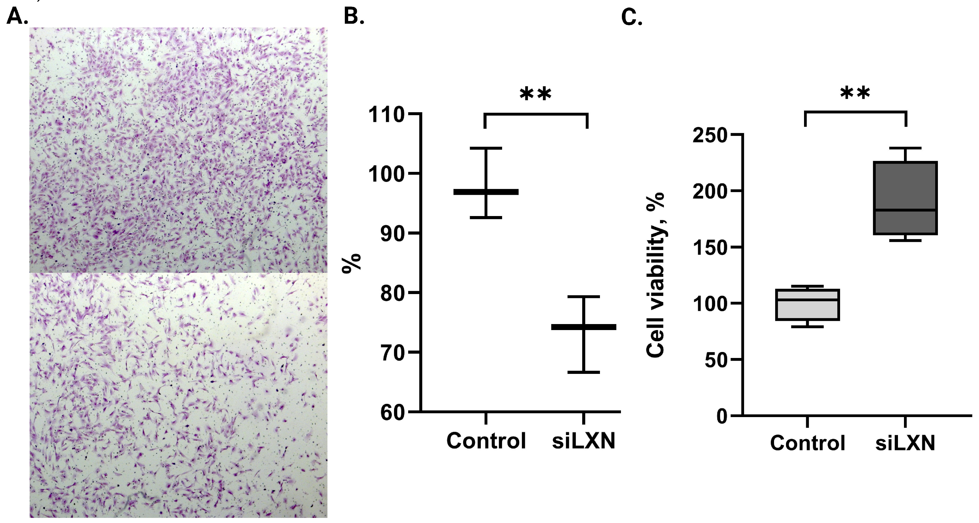 Genes 15 01086 g003 Genes 15 01086 g003