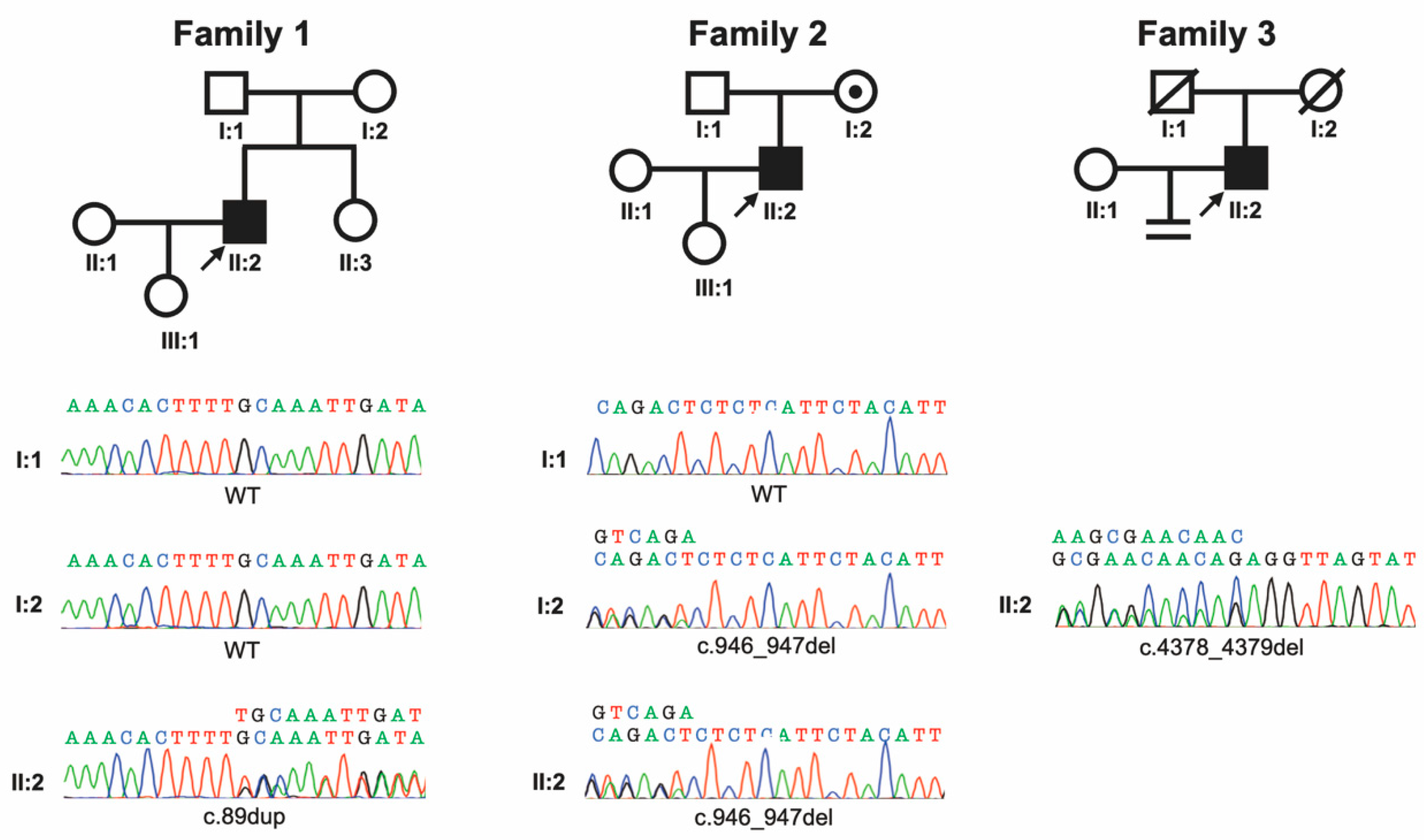 Genes 15 01092 g001