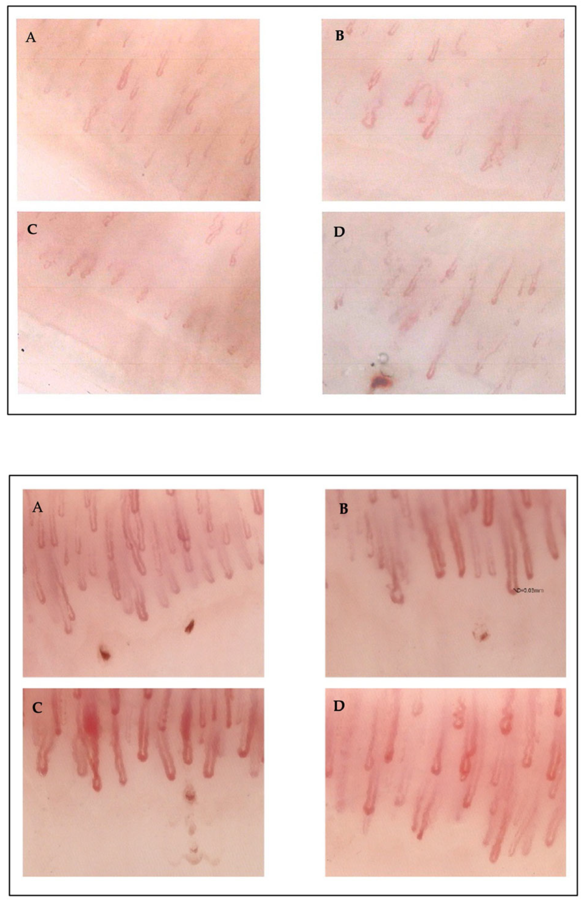 Genes 15 01101 g007 Genes 15 01101 g007