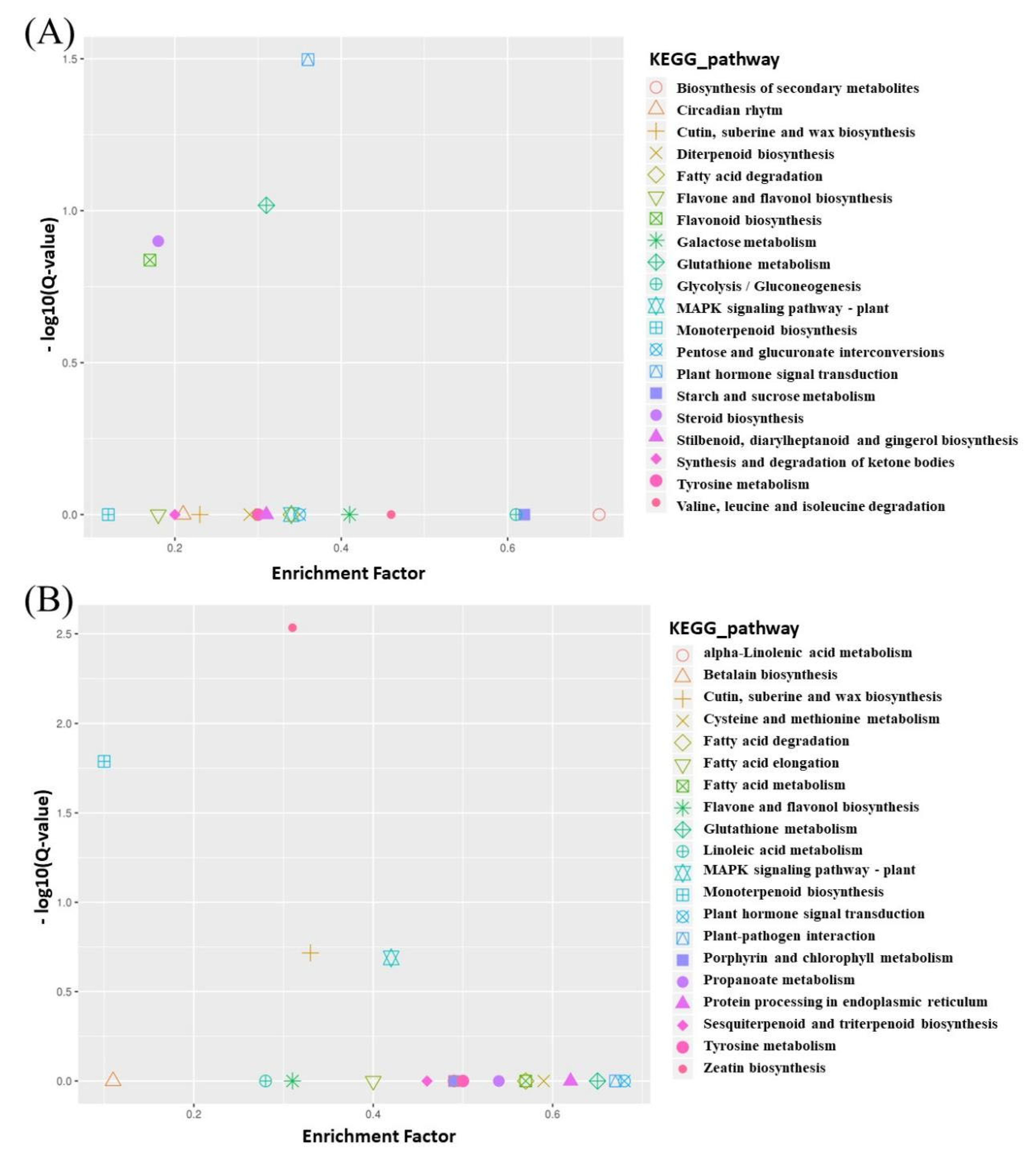 Genes 15 01115 g004 Genes 15 01115 g004