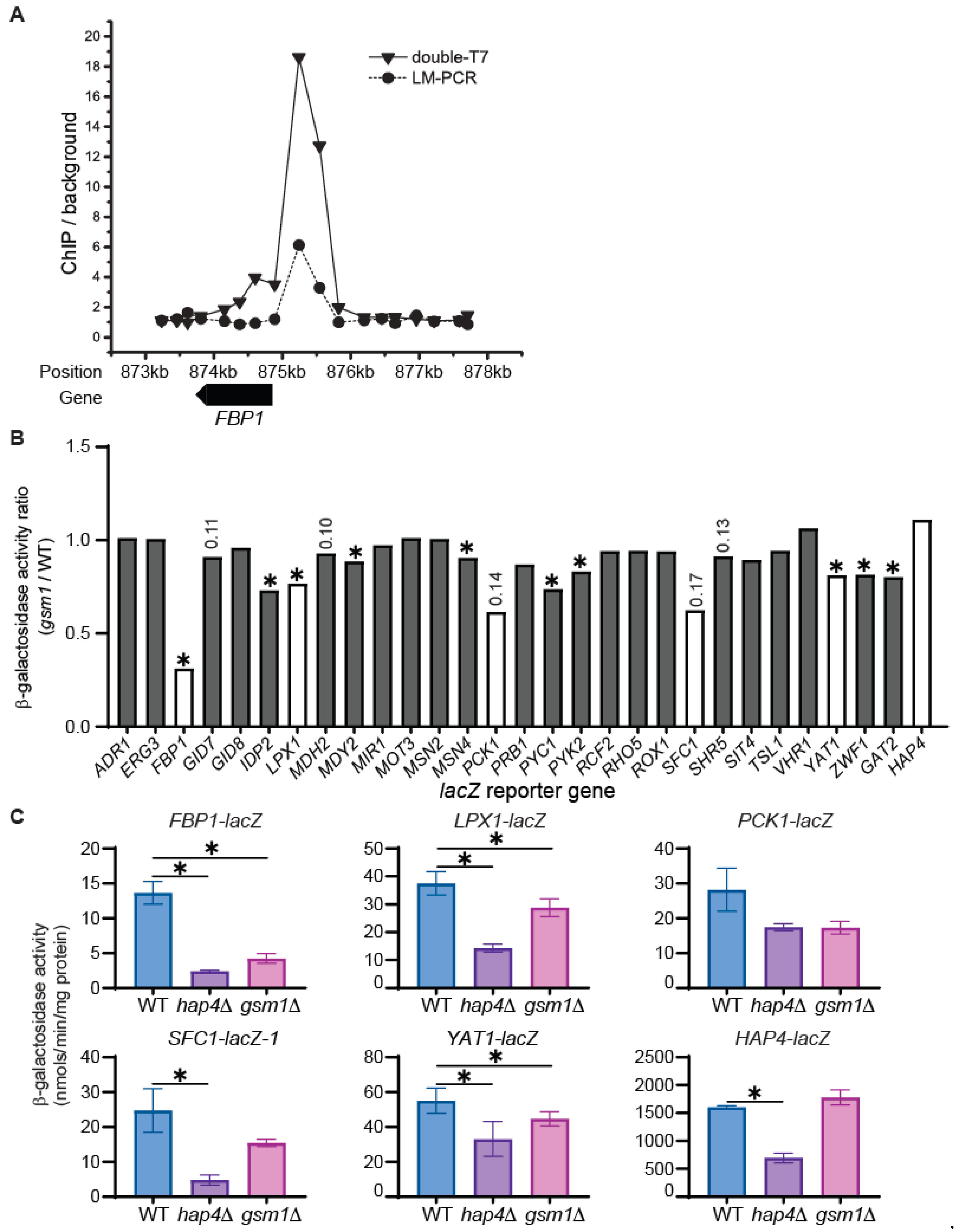 Genes 15 01128 g003 Genes 15 01128 g003