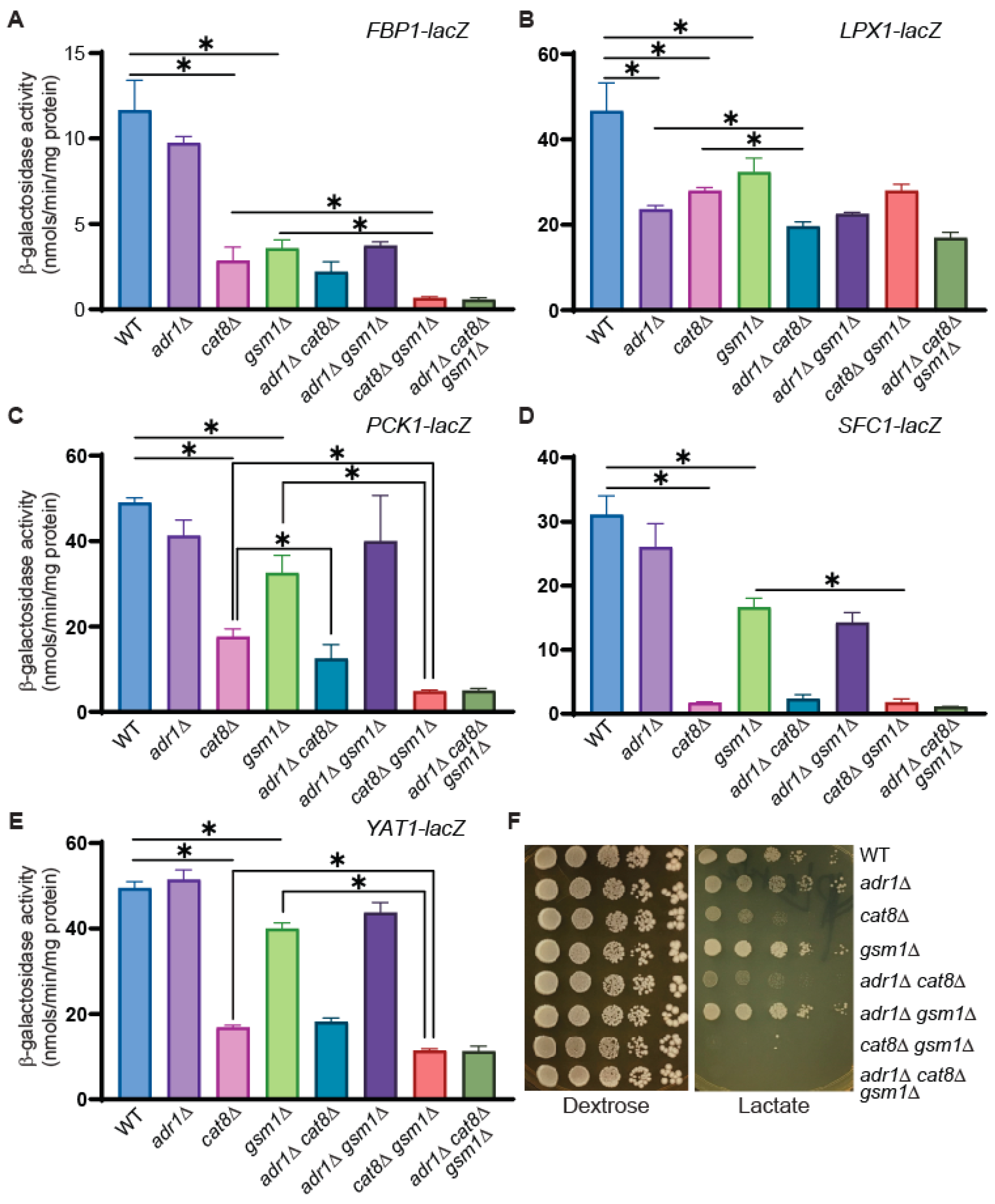 Genes 15 01128 g005 Genes 15 01128 g005