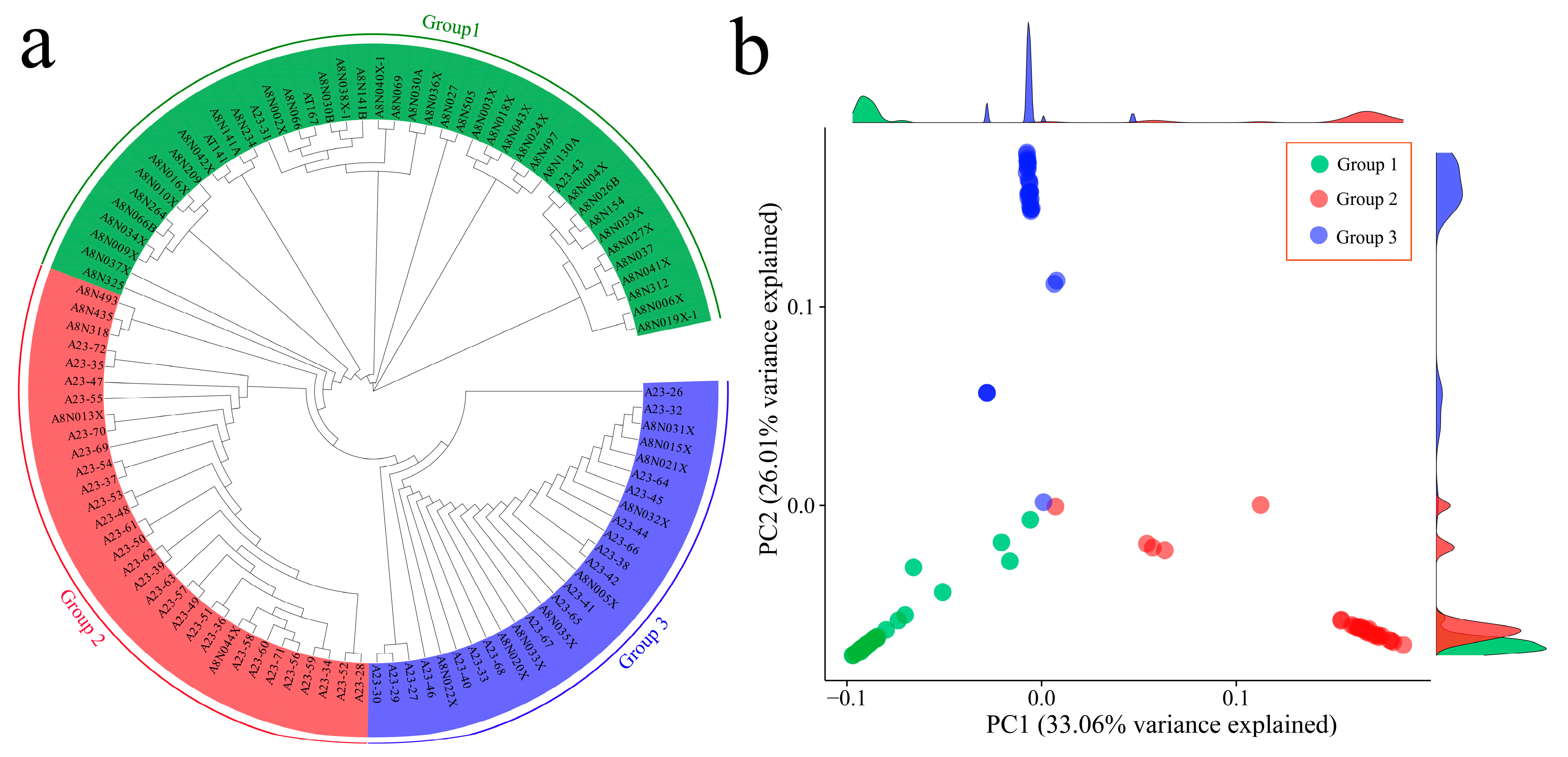 Genes 15 01135 g002