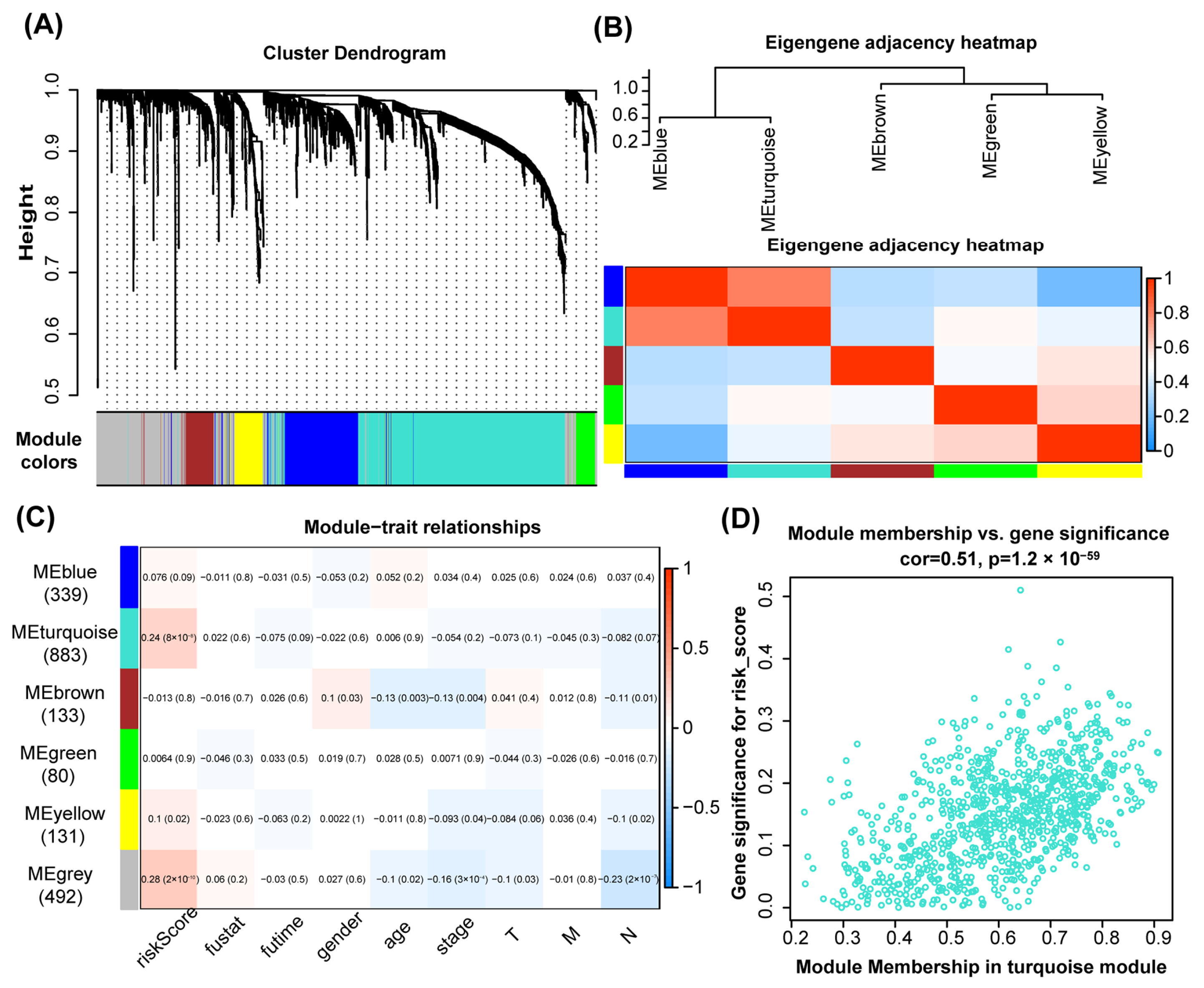 Genes 15 01139 g001