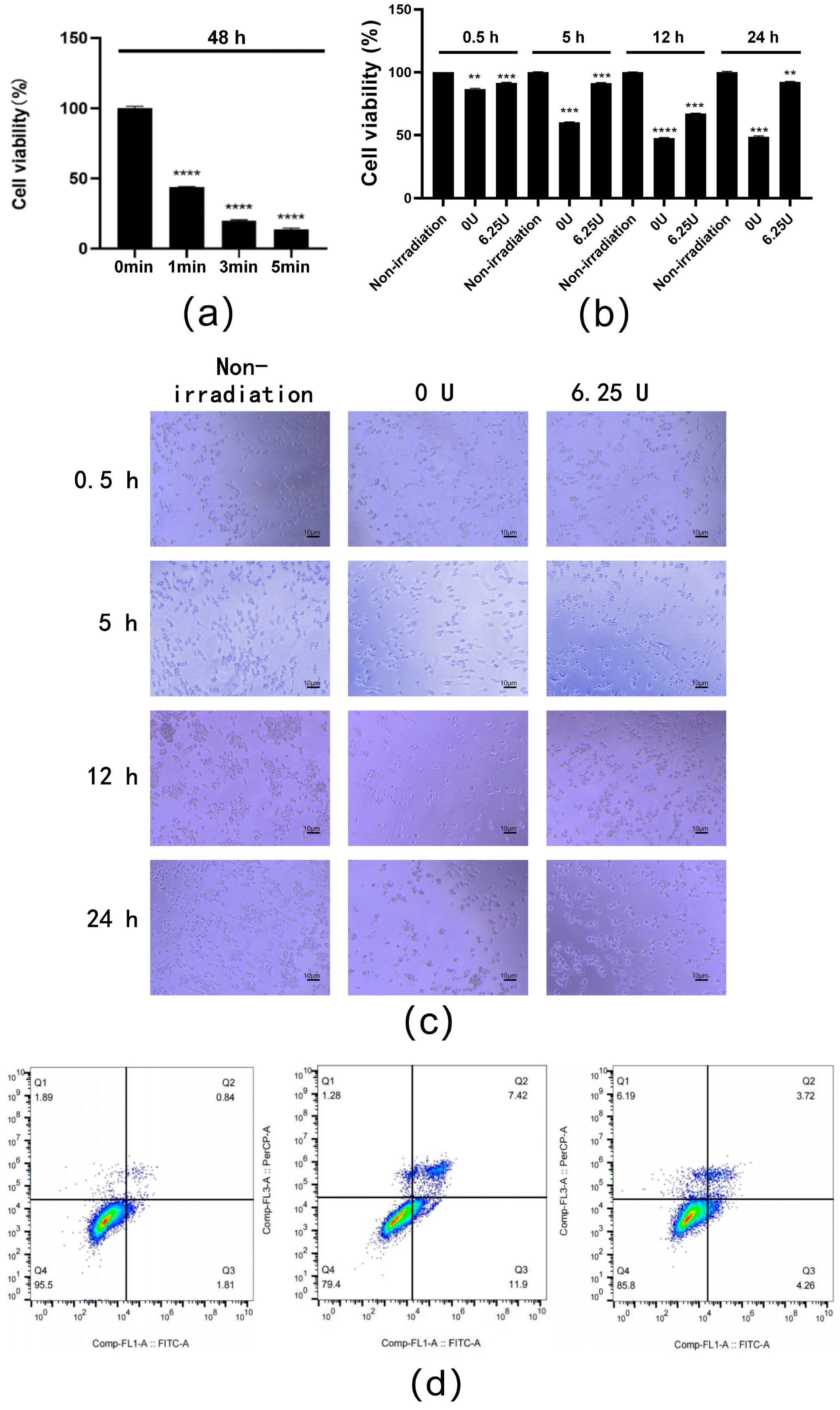 Genes 15 01147 g006 Genes 15 01147 g006