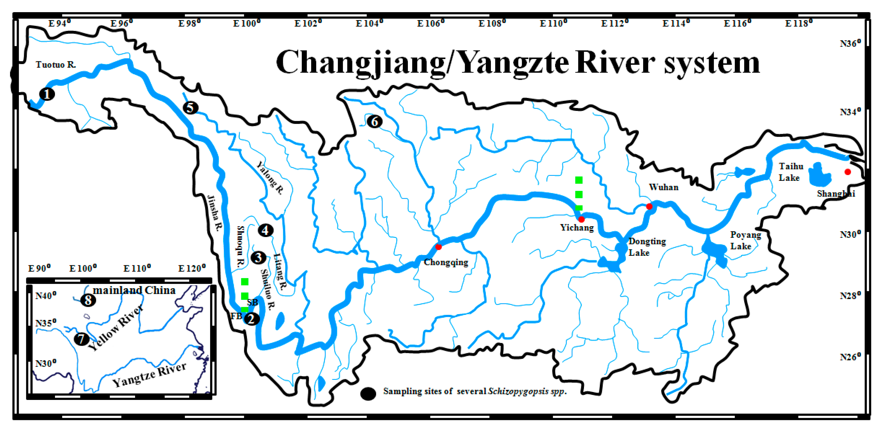 Genes 15 01148 g002 Genes 15 01148 g002