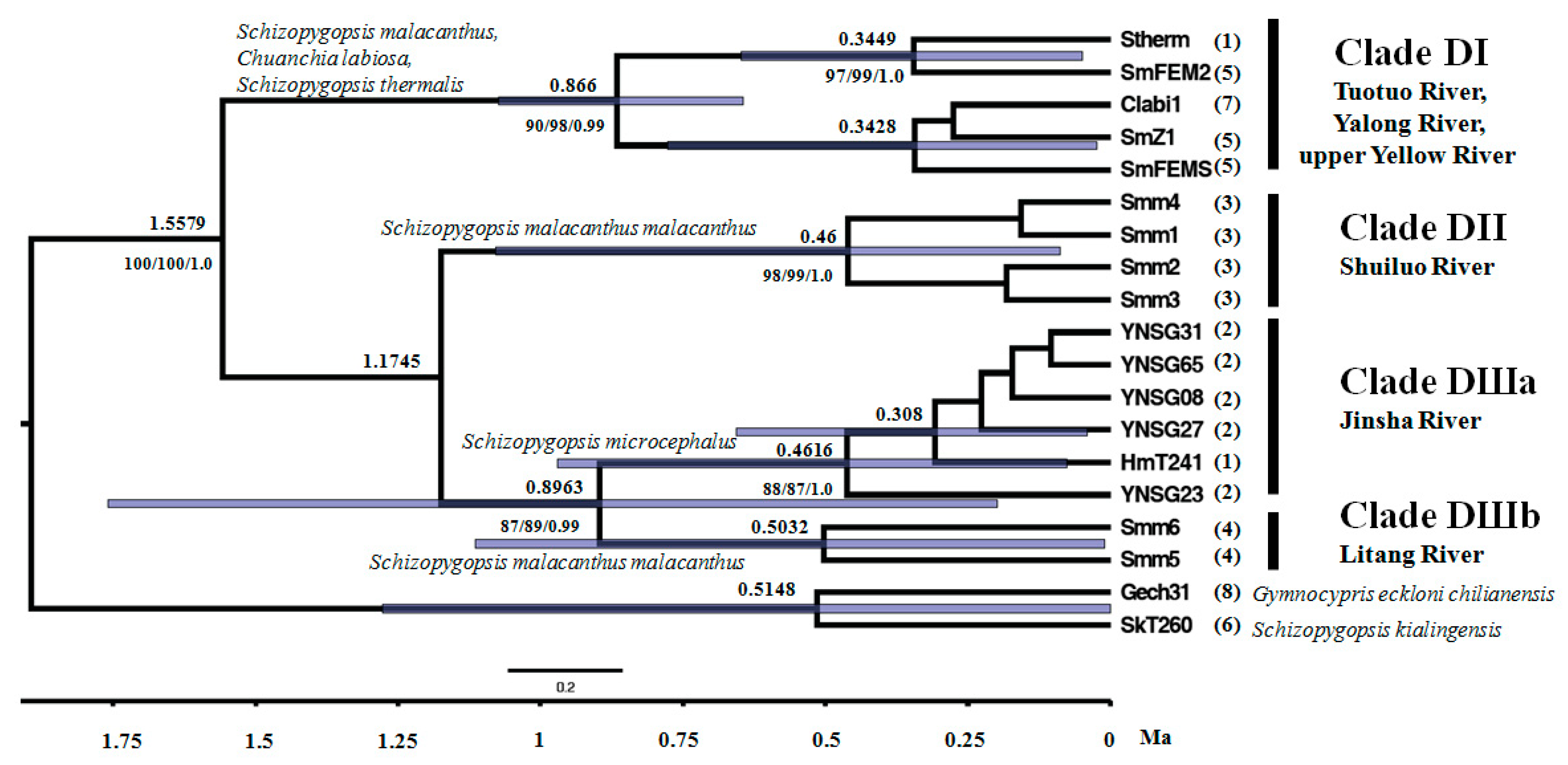 Genes 15 01148 g003 Genes 15 01148 g003