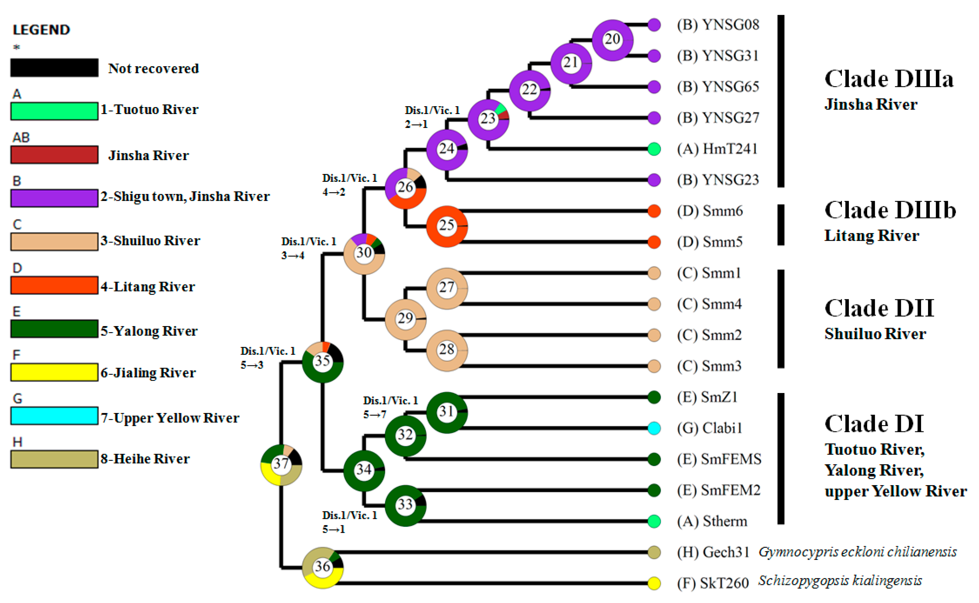 Genes 15 01148 g005 Genes 15 01148 g005