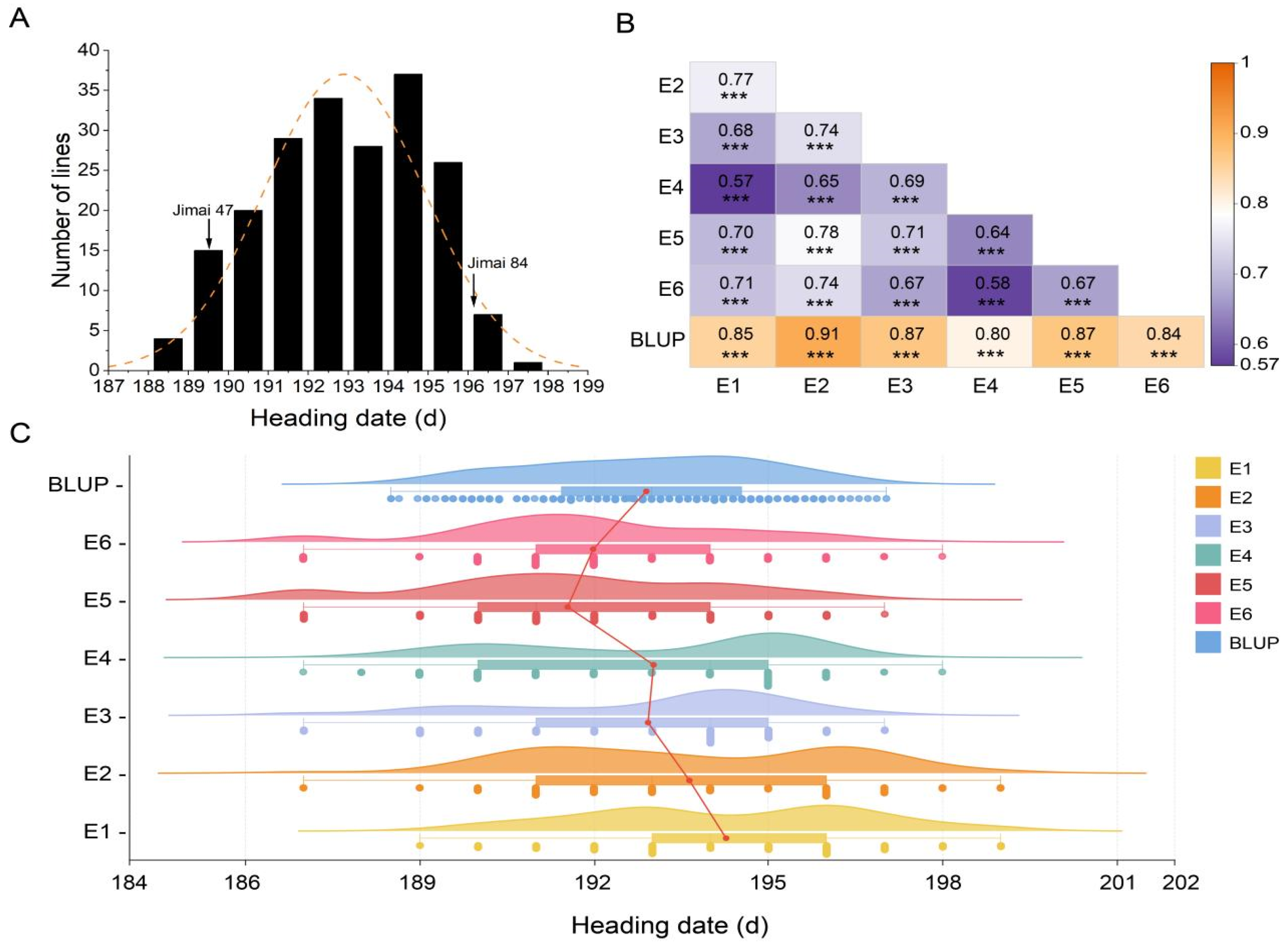 Genes 15 01150 g001