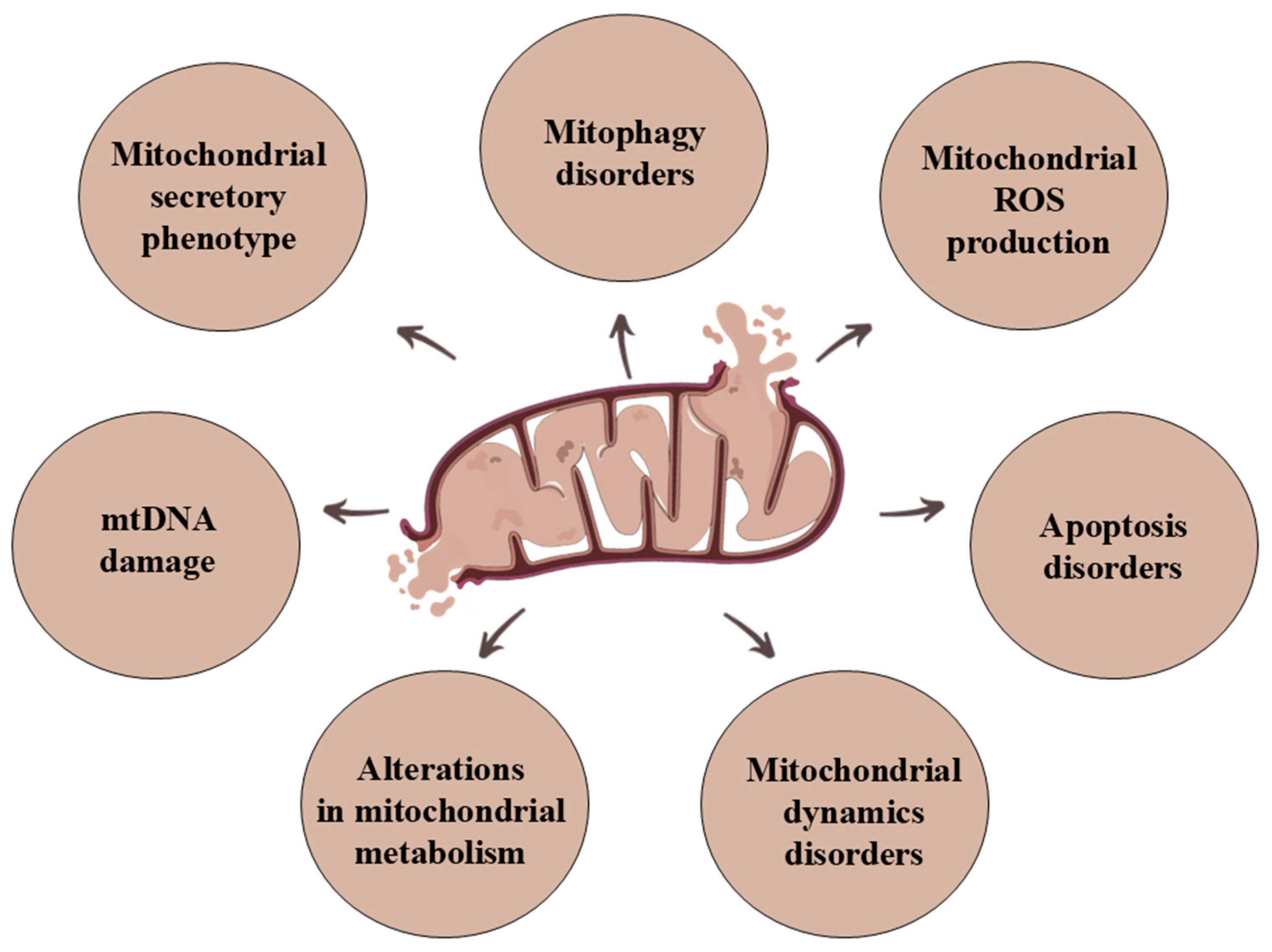 Genes 15 01153 g003 Genes 15 01153 g003
