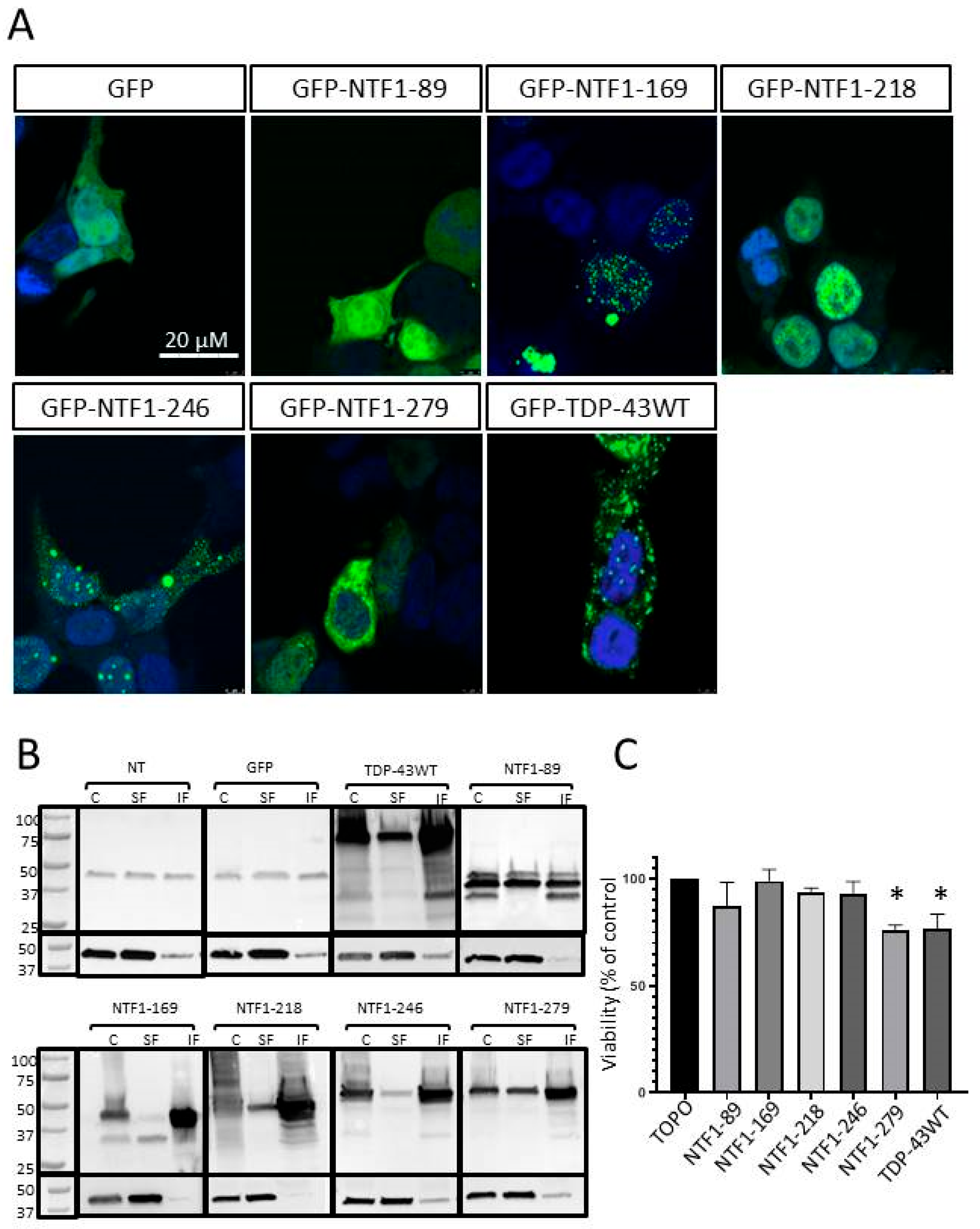 Genes 15 01157 g003
