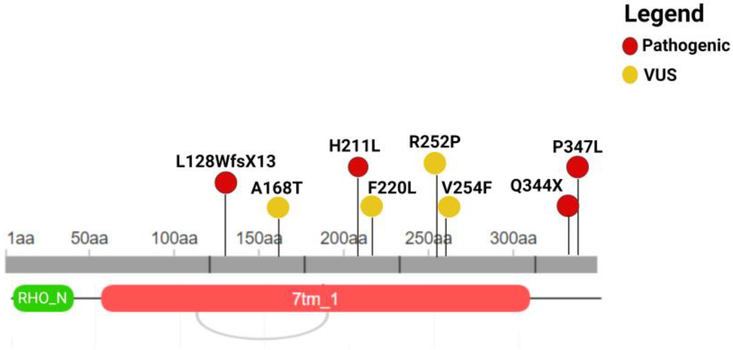 Genes 15 01158 g001 Genes 15 01158 g001