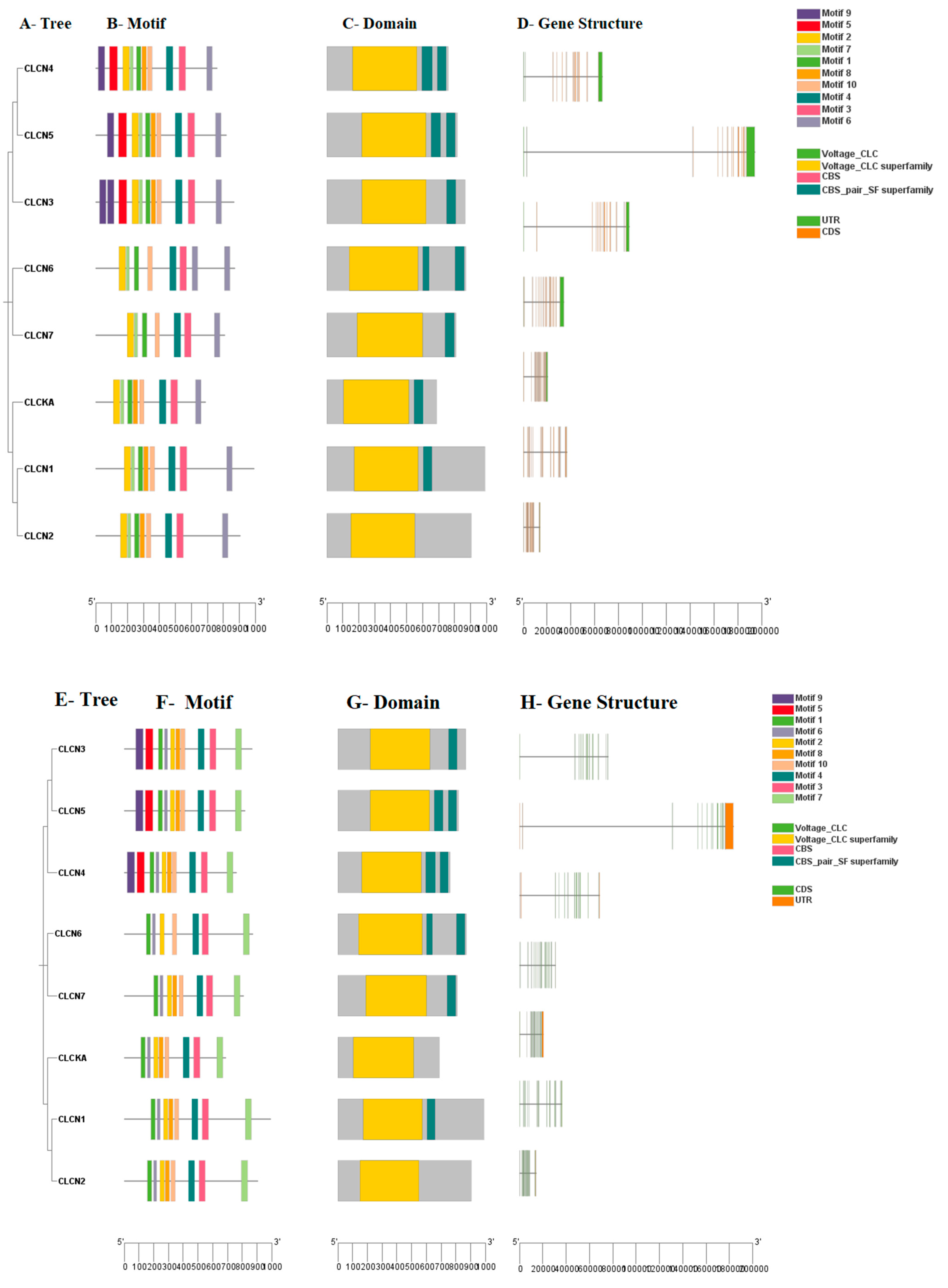 Genes 15 01163 g002 Genes 15 01163 g002