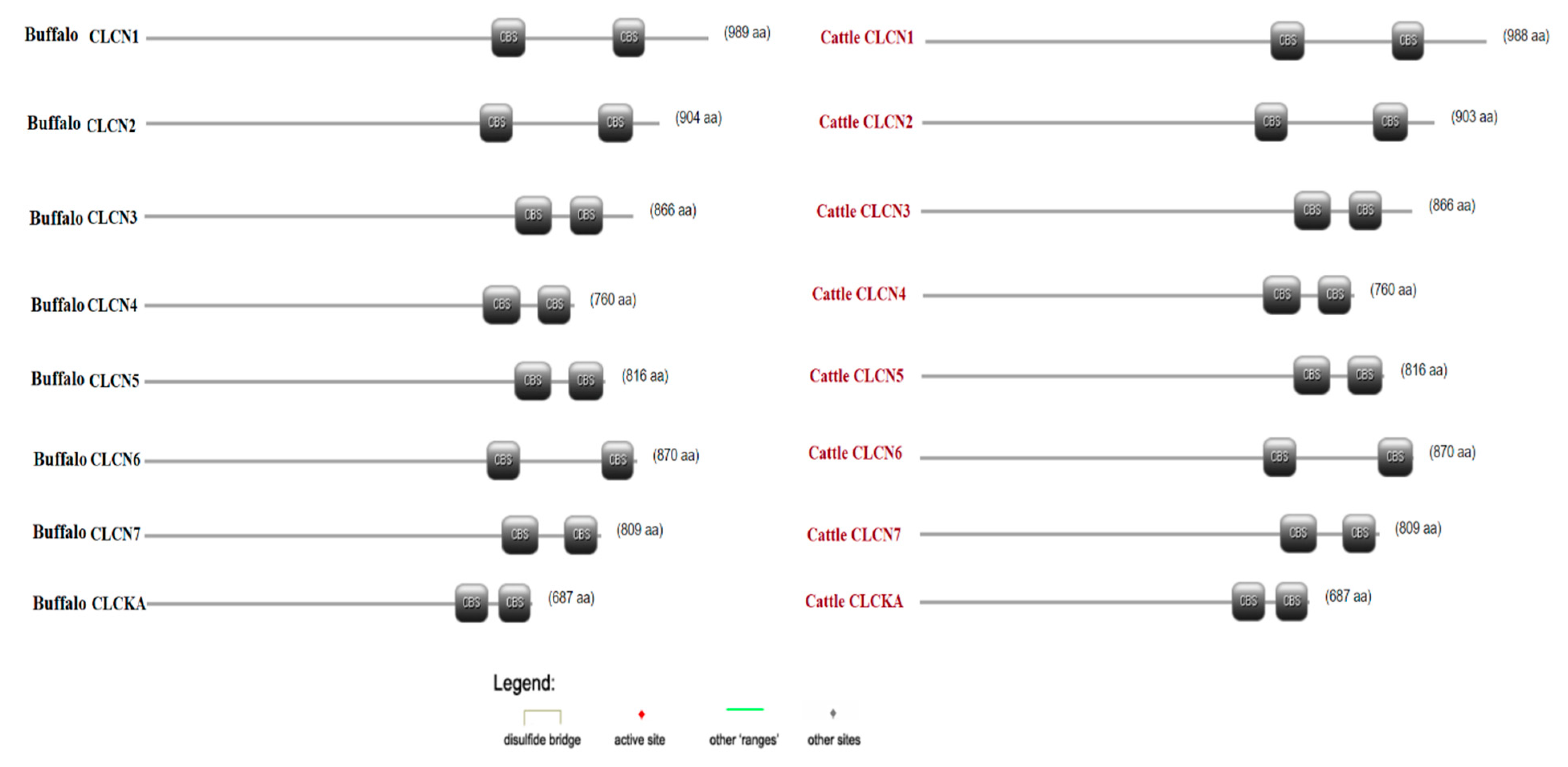 Genes 15 01163 g005 Genes 15 01163 g005