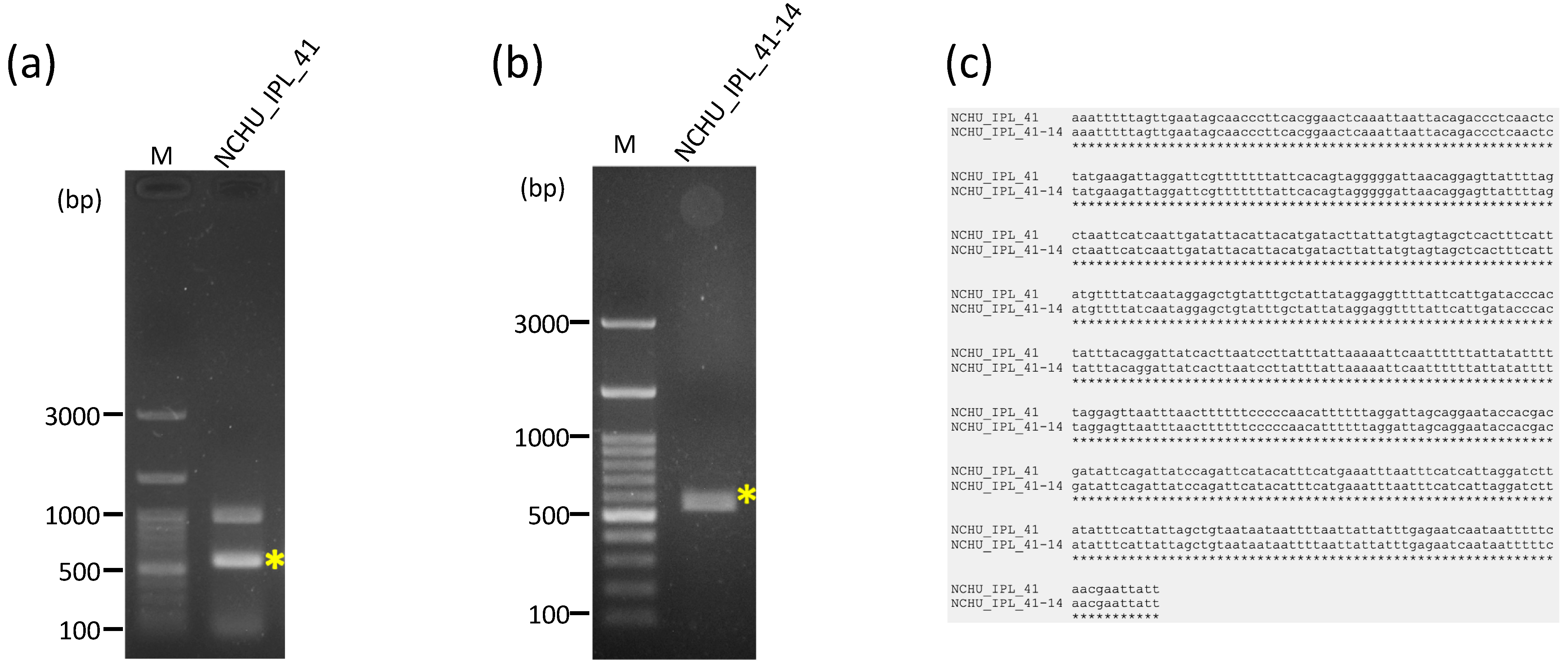 Genes 15 01171 g005