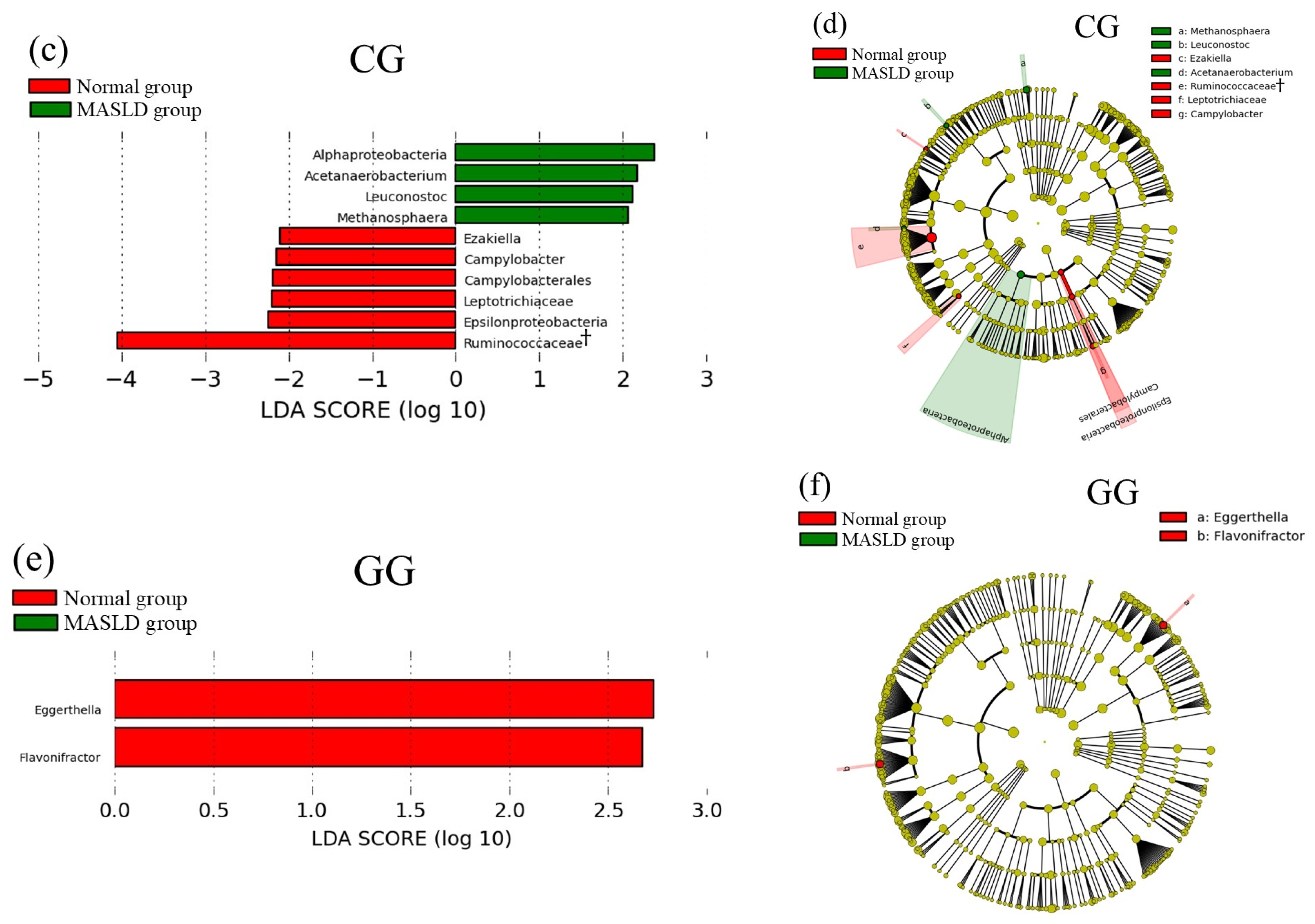 Genes 15 01172 g004b Genes 15 01172 g004b
