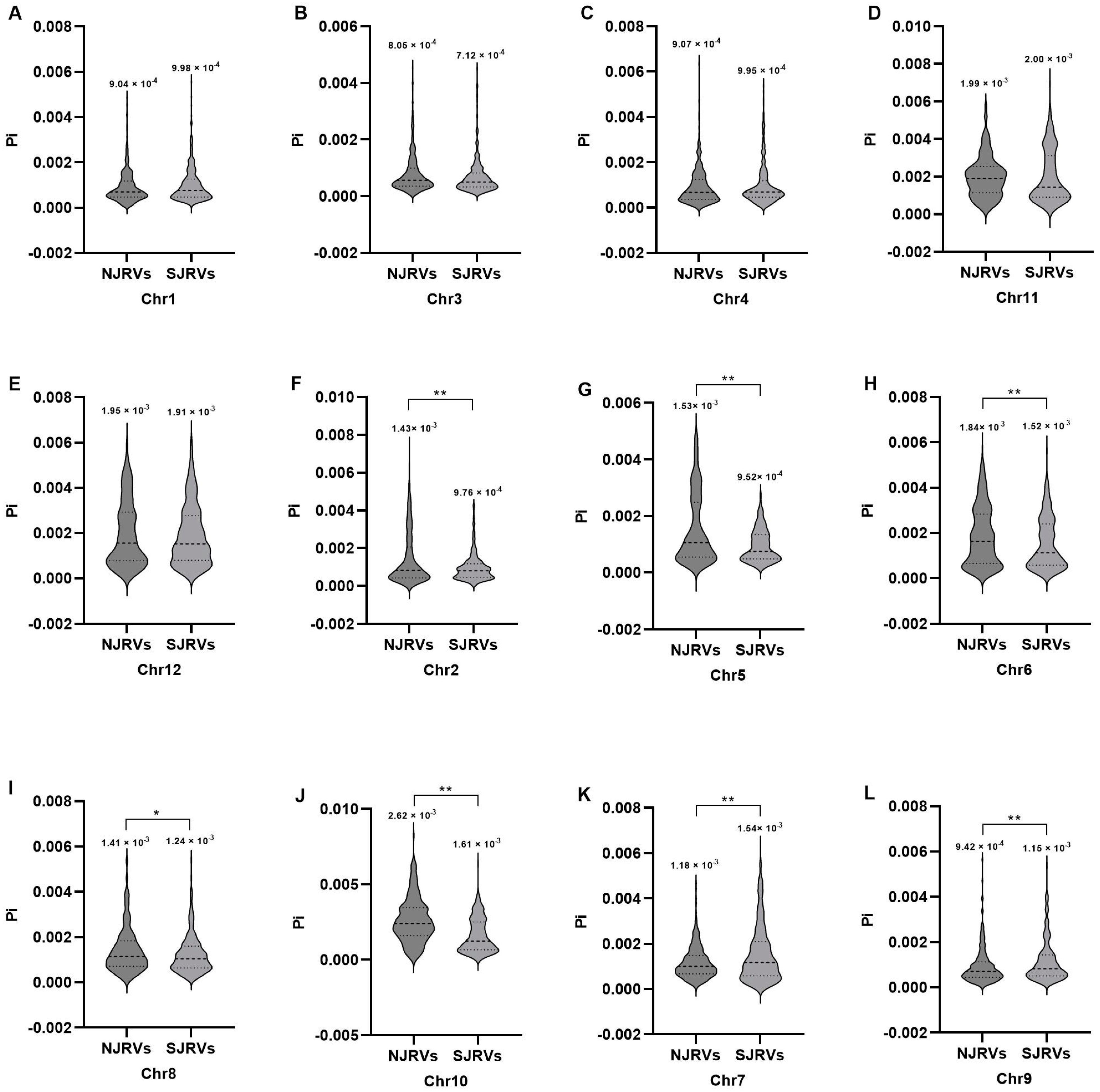 Genes 15 01182 g001 Genes 15 01182 g001