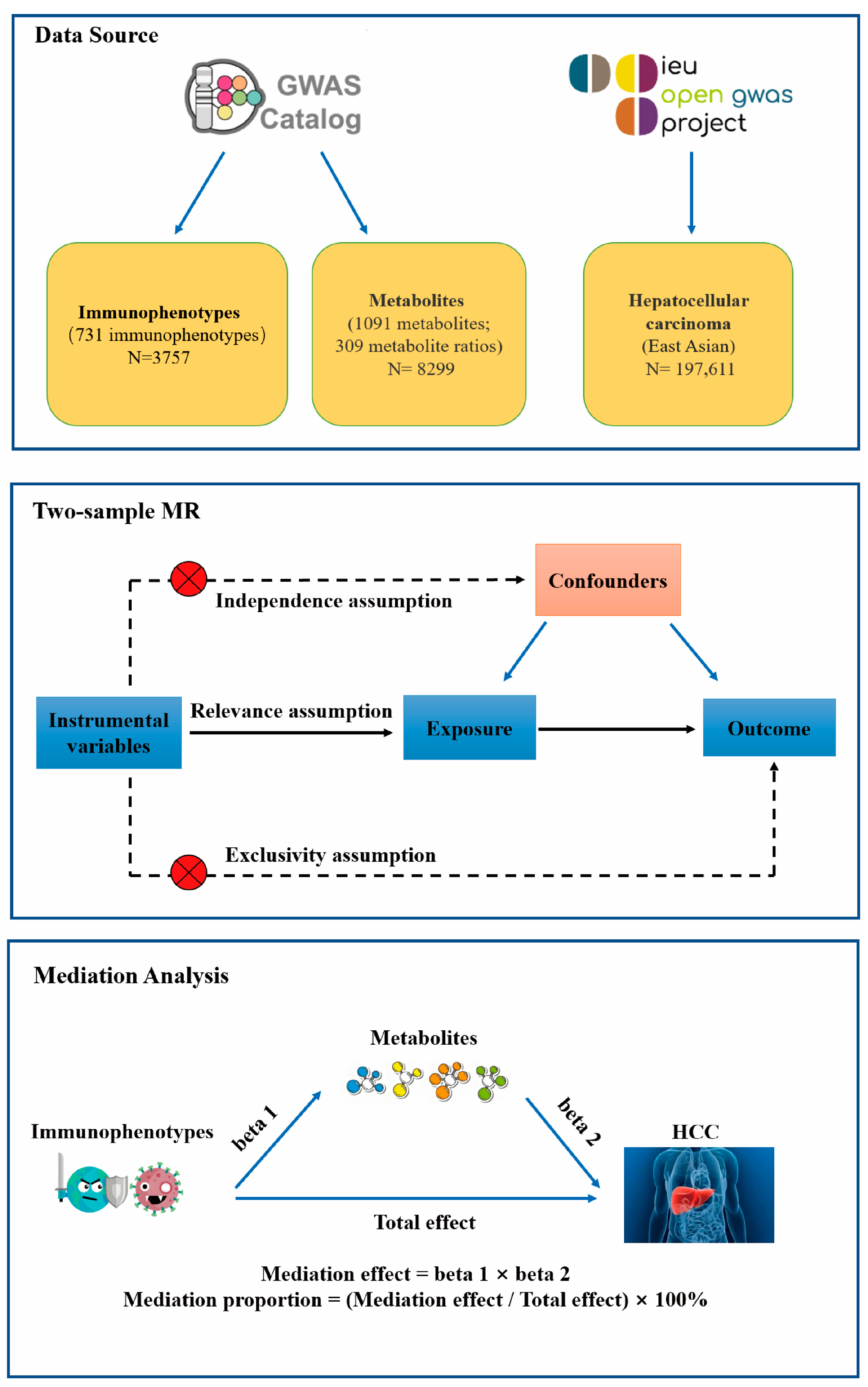 Genes 15 01183 g001