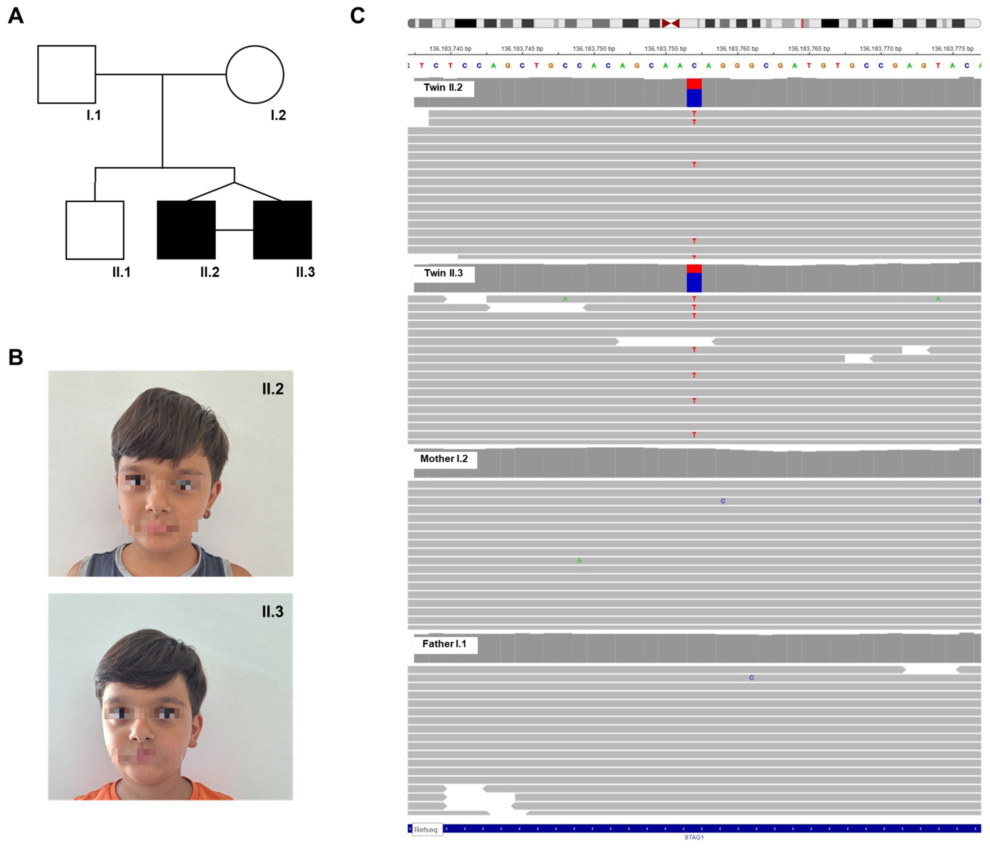 Genes 15 01184 g001 Genes 15 01184 g001