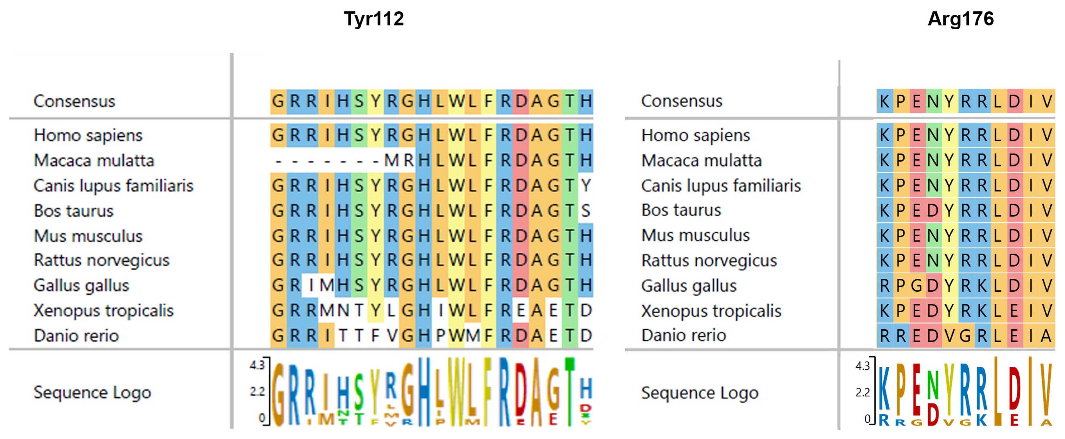 Genes 15 01192 g002 Genes 15 01192 g002