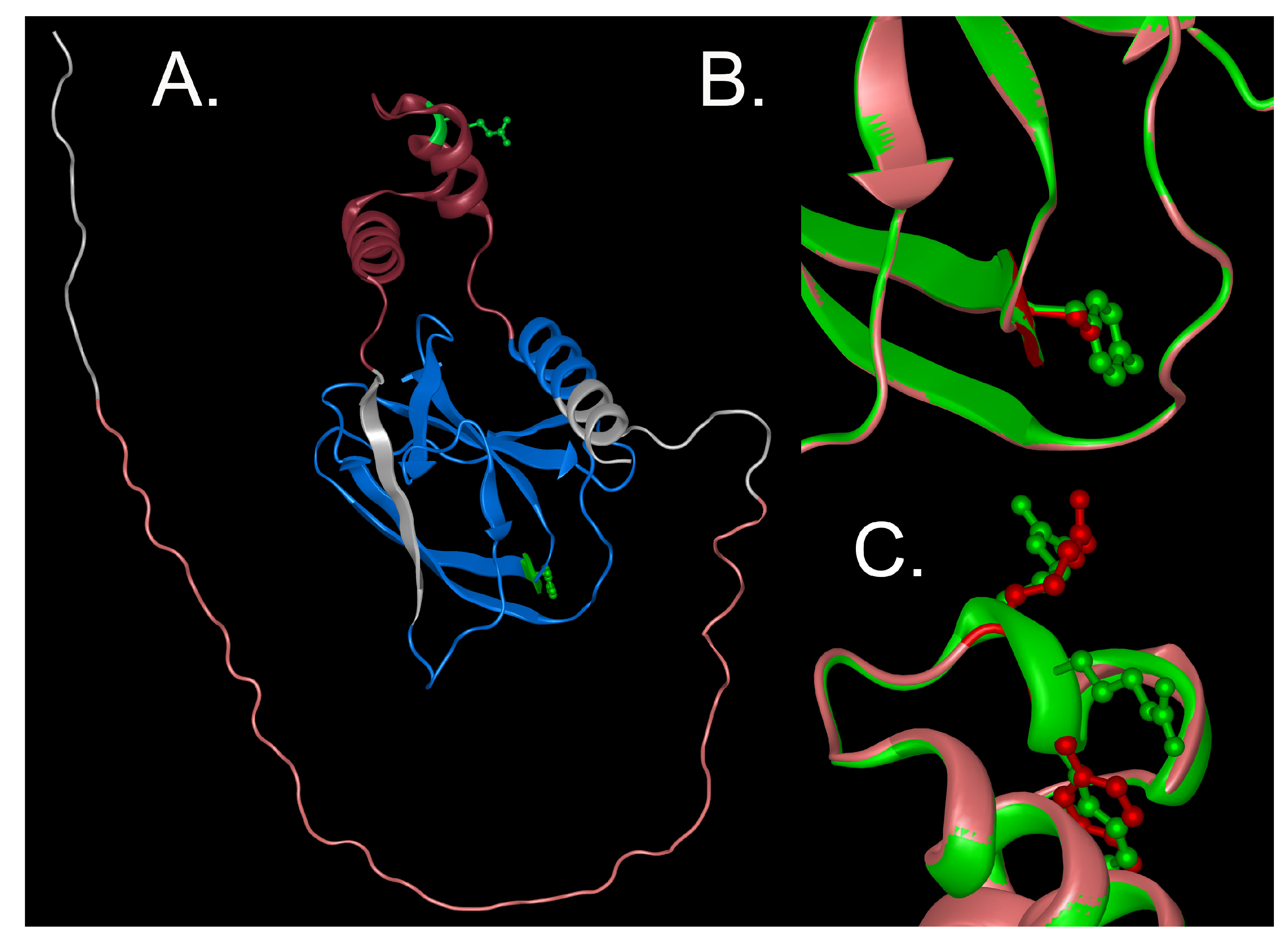 Genes 15 01192 g003 Genes 15 01192 g003