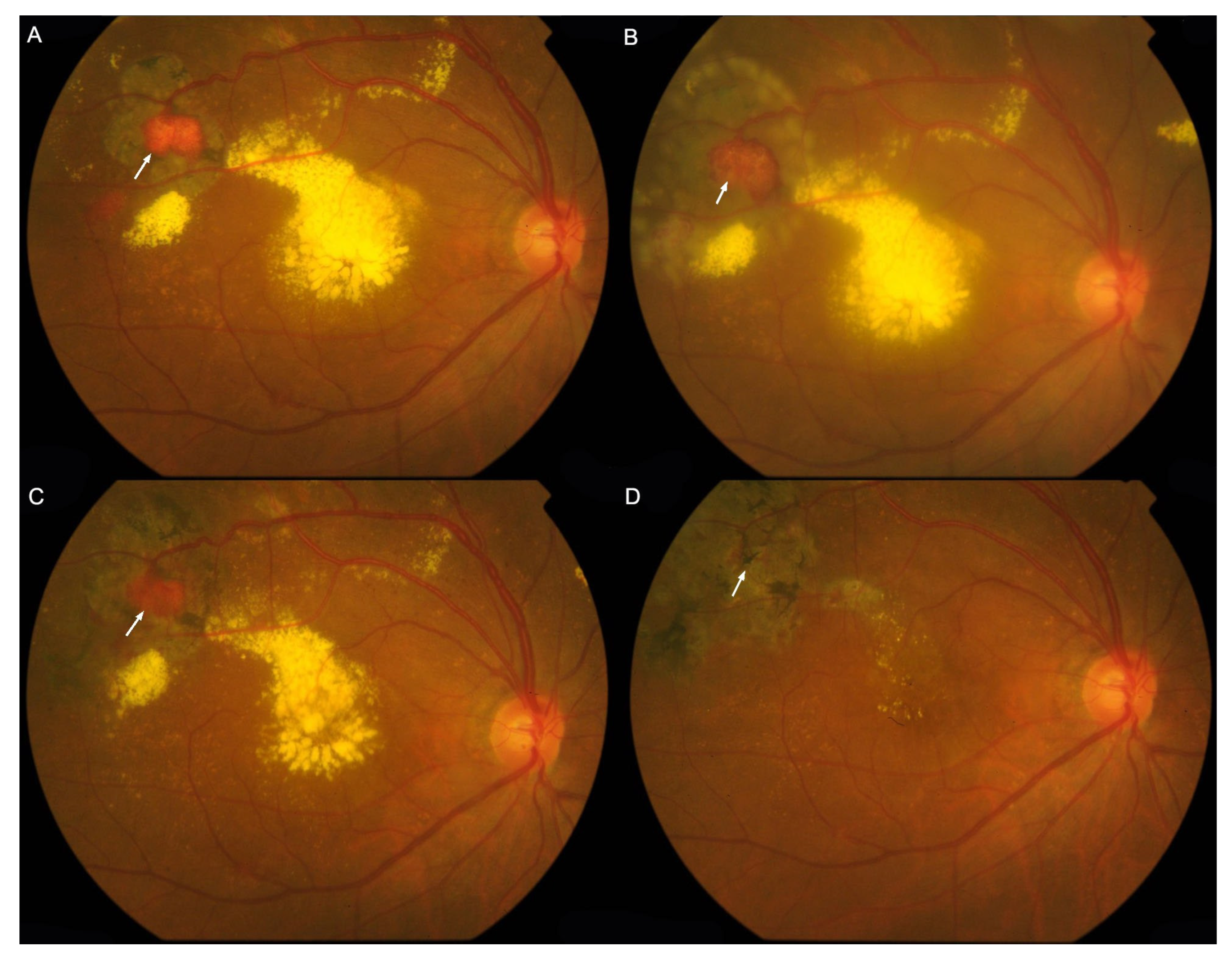 Genes 15 01192 g006 Genes 15 01192 g006