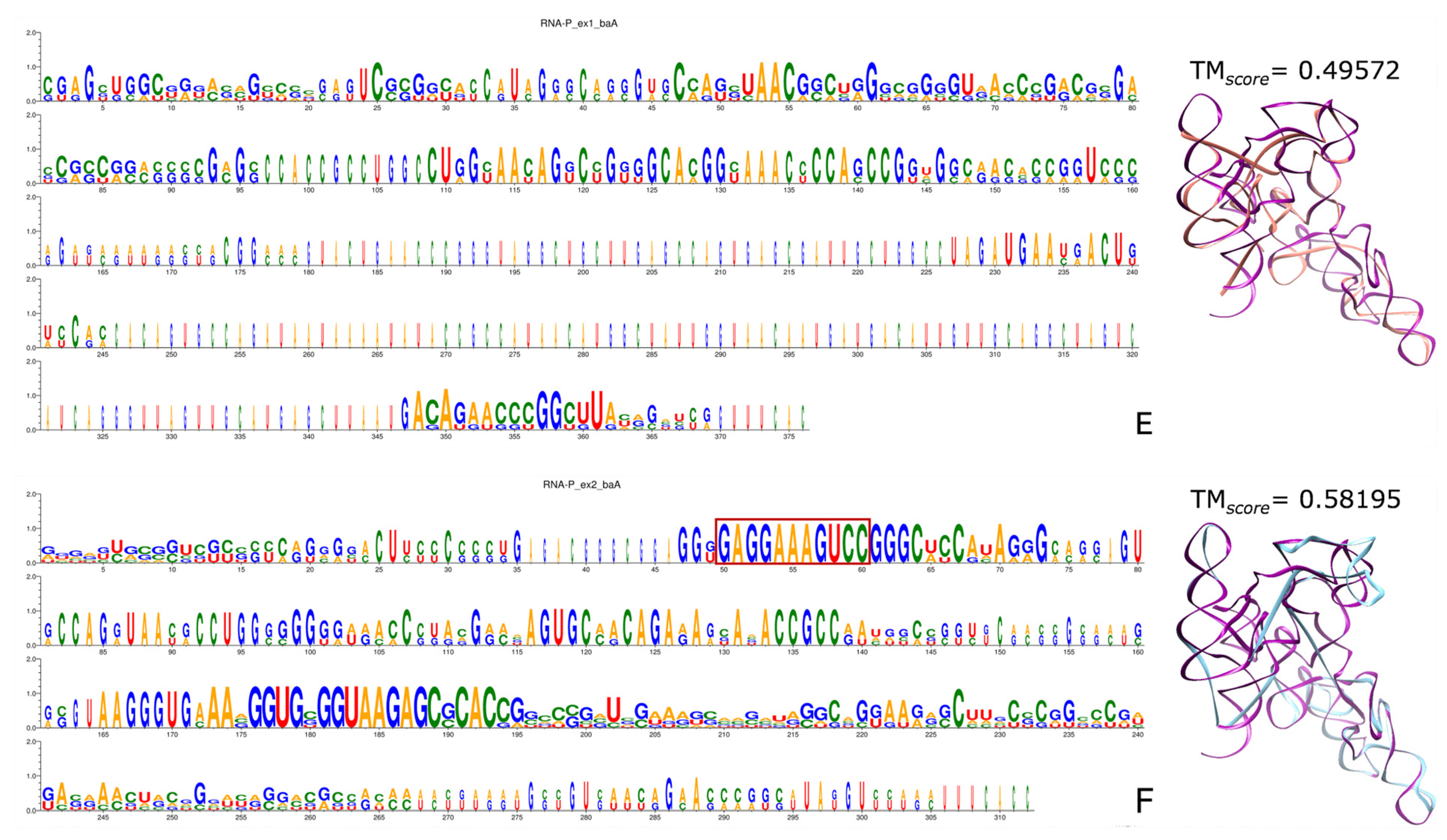 Genes 15 01195 g007