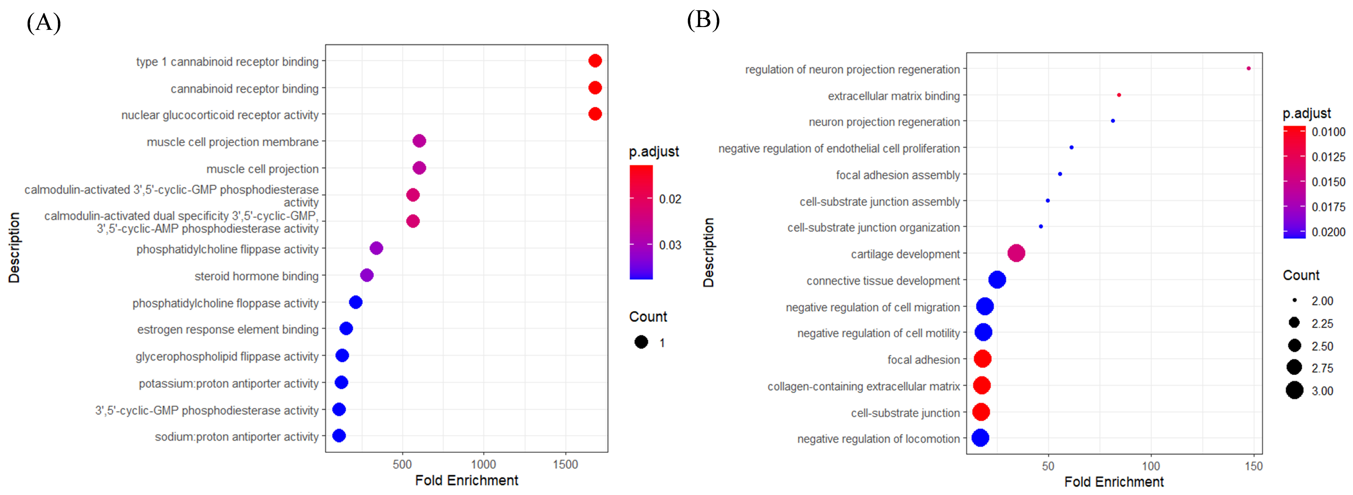 Genes 15 01207 g007