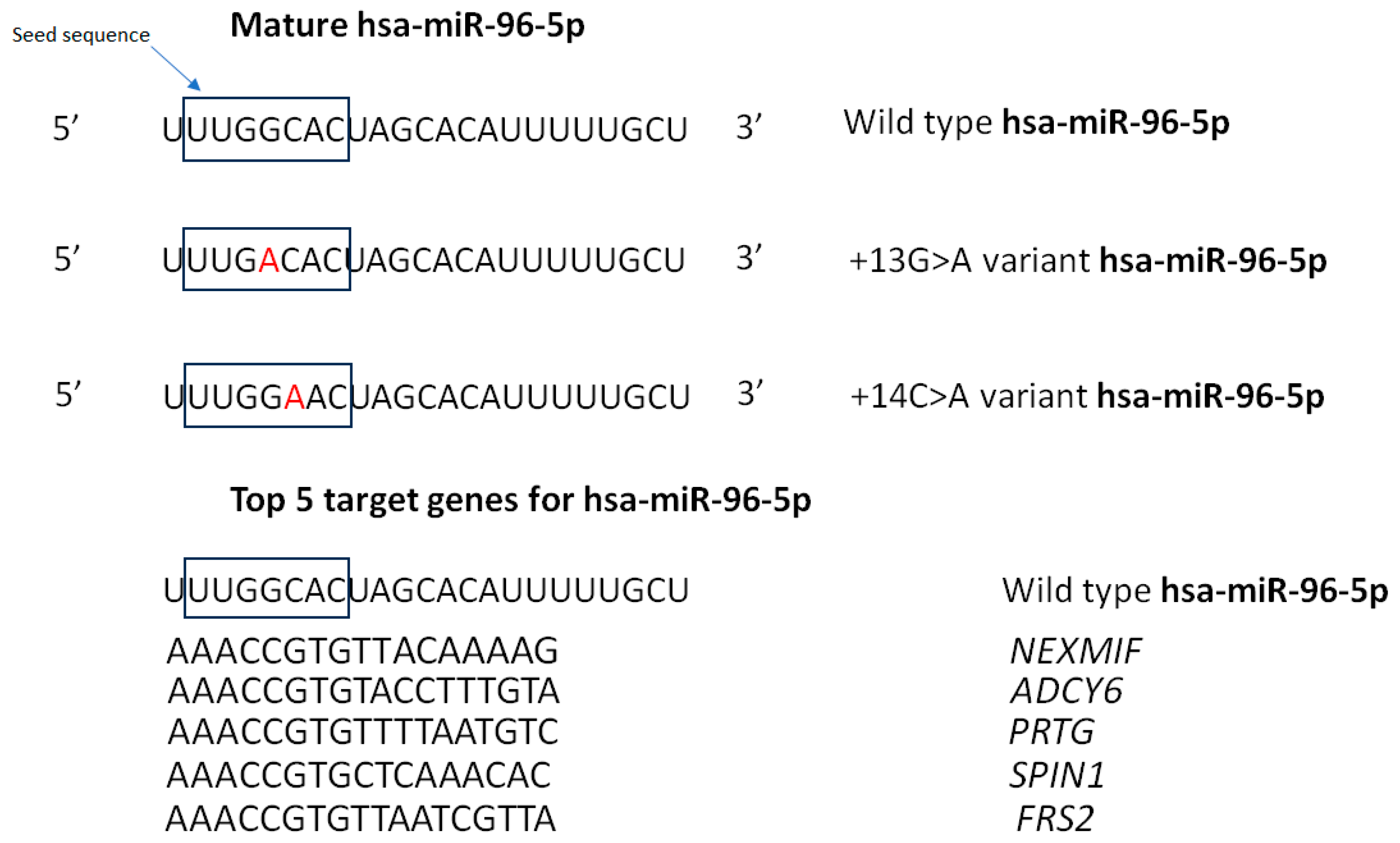 Genes 15 01243 g002