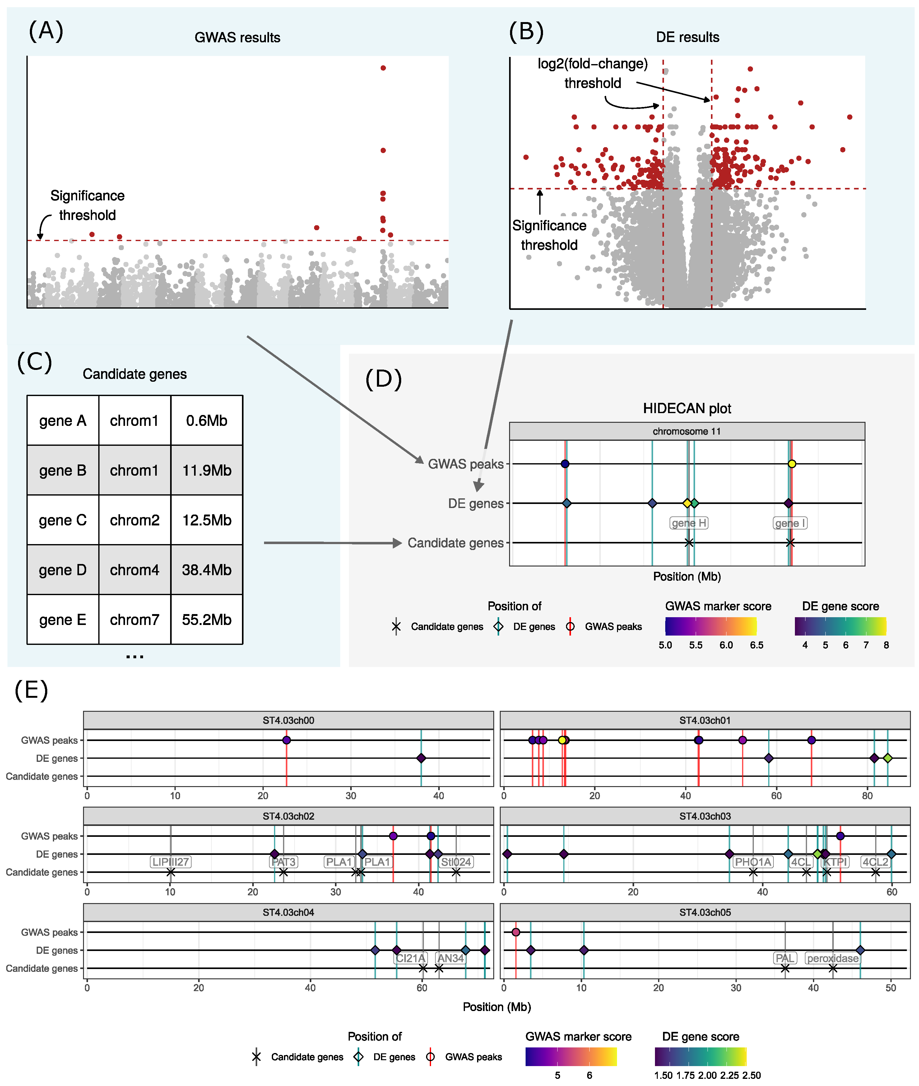 Genes 15 01244 g001