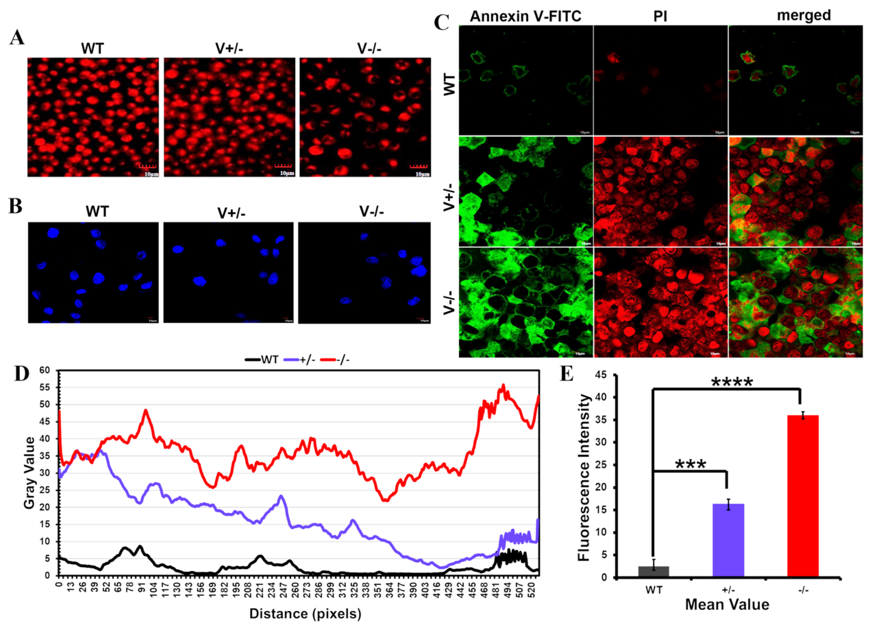 Genes 15 01266 g005 Genes 15 01266 g005