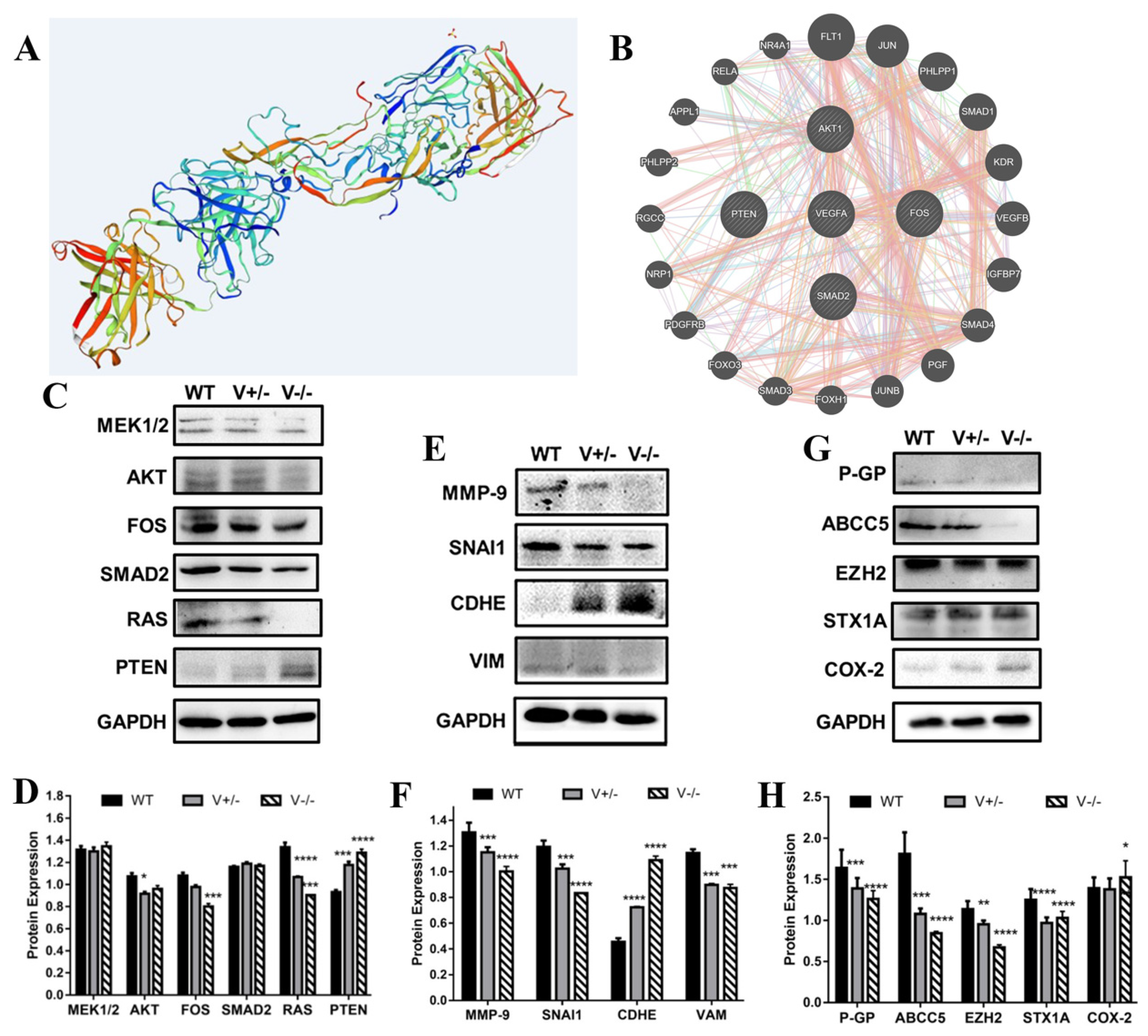 Genes 15 01266 g006 Genes 15 01266 g006