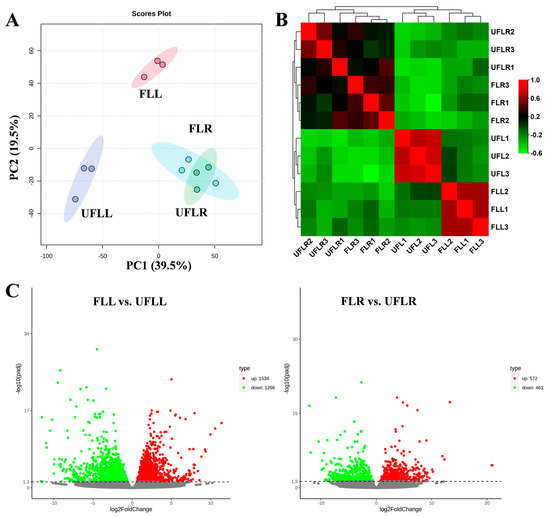 Multi-Omics Revealed Regulatory Mechanisms Underlying the