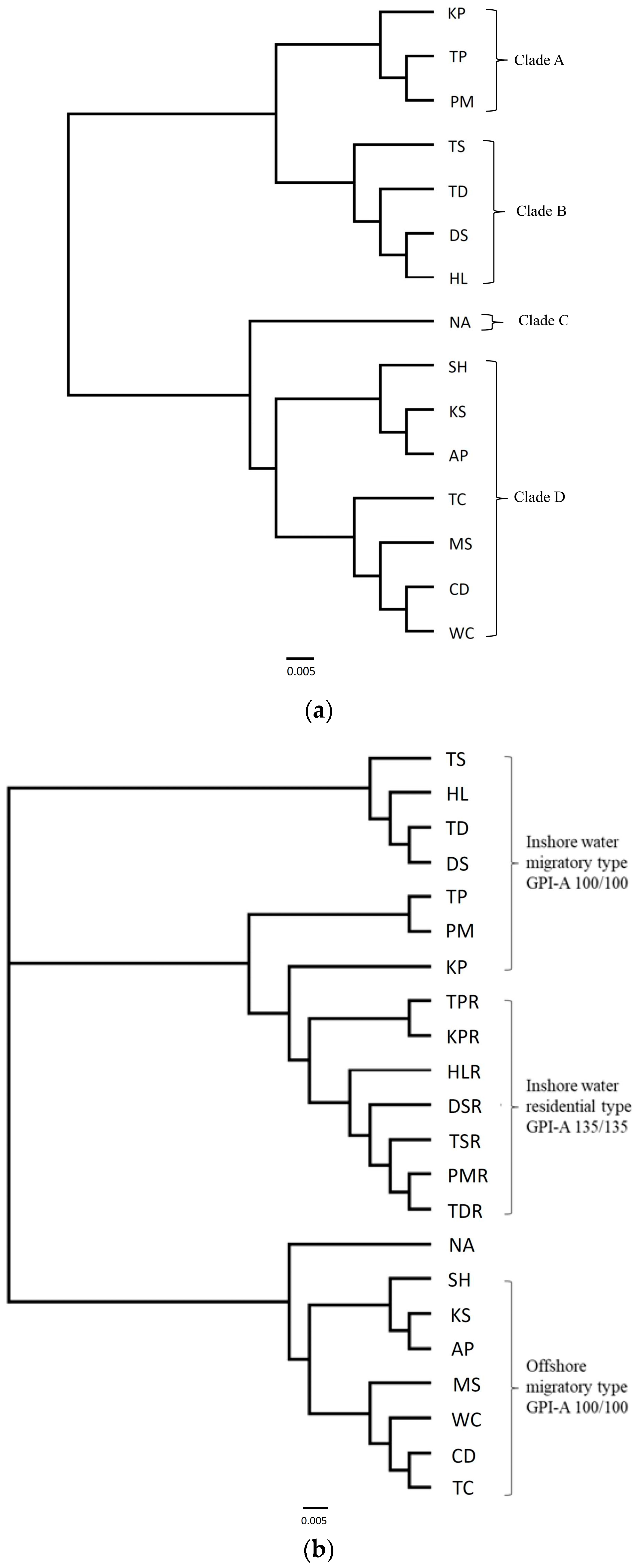 Genes 15 01280 g002a Genes 15 01280 g002a