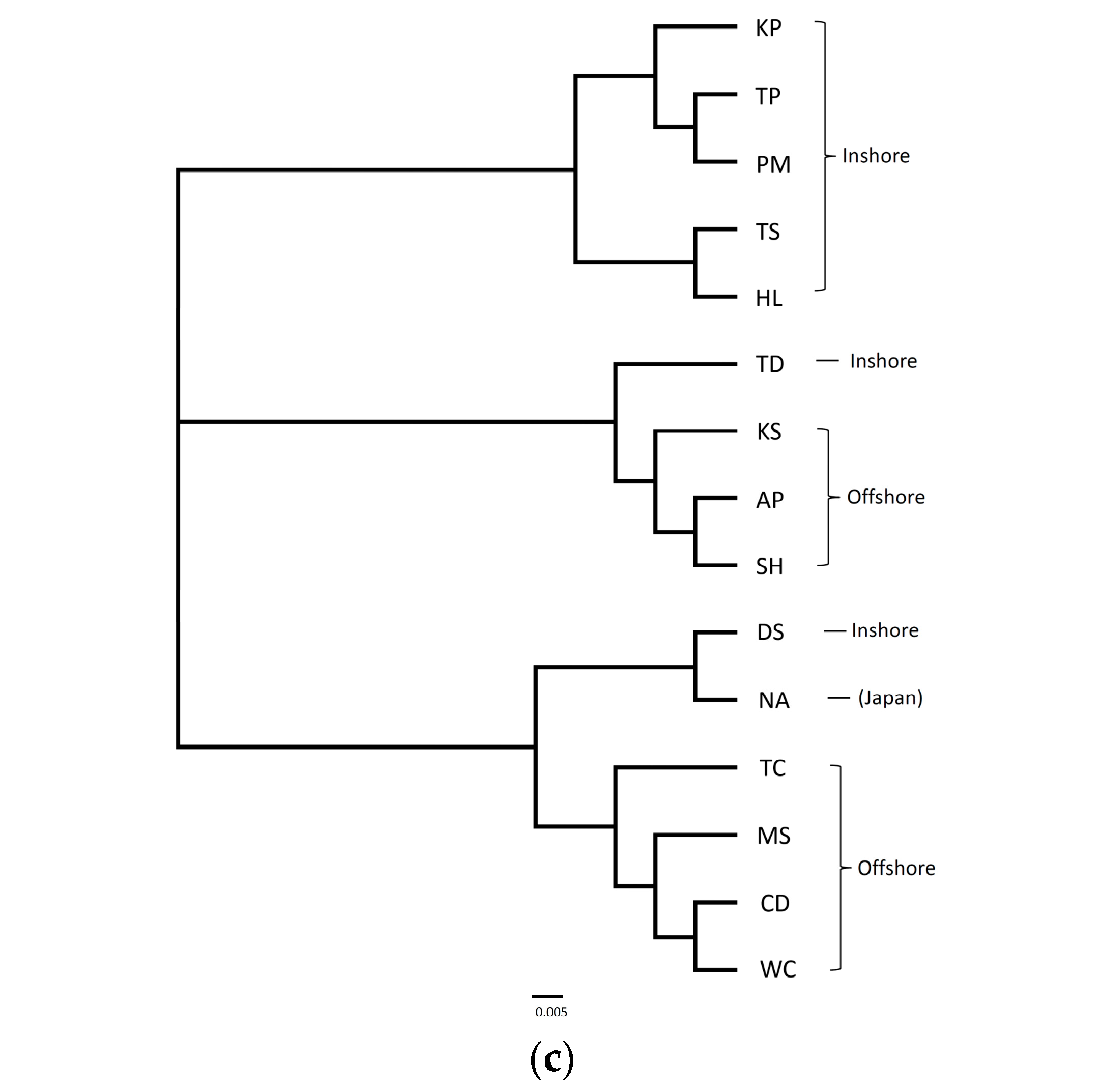 Genes 15 01280 g002b Genes 15 01280 g002b